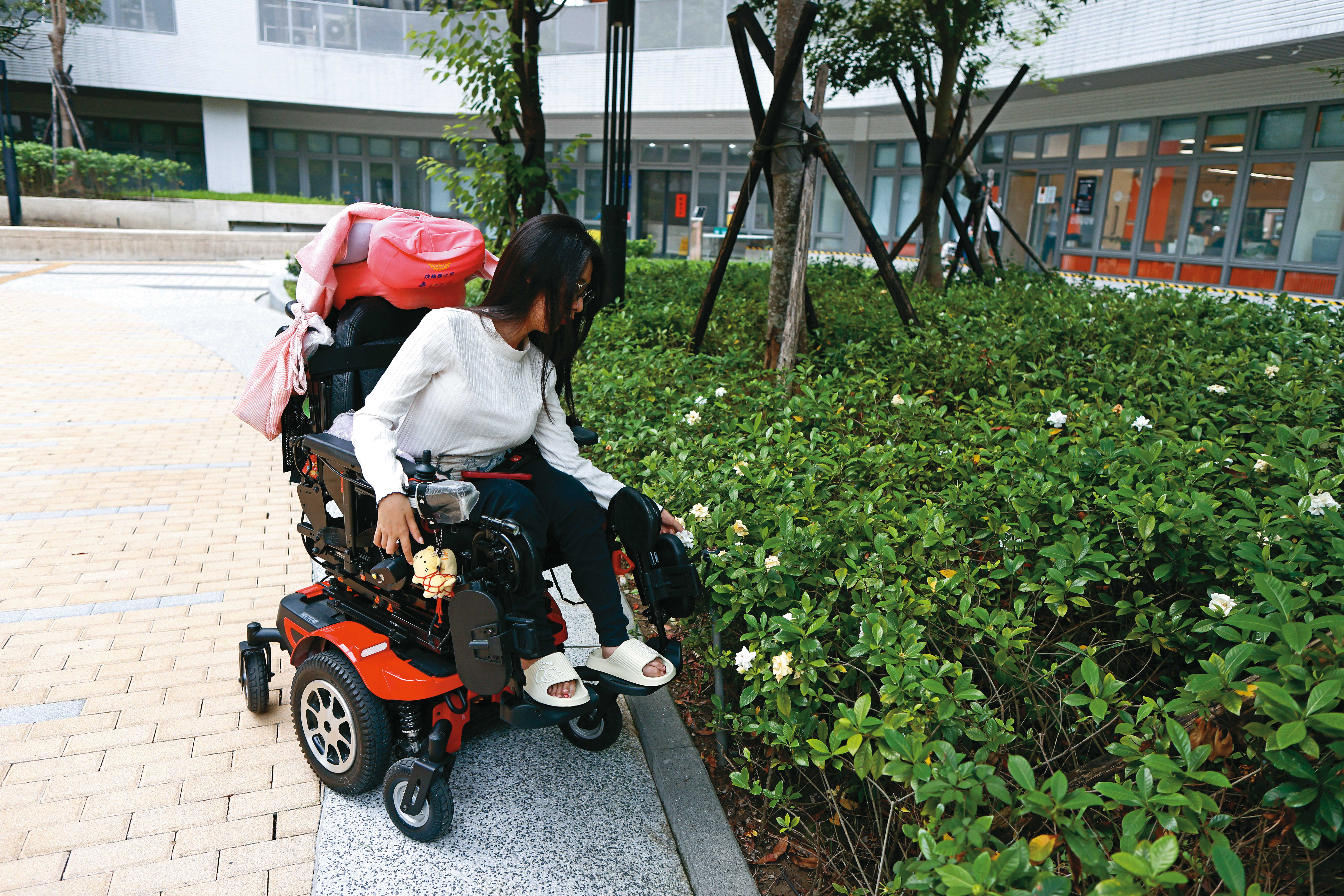 採訪這天，壽司卷難得外出，到社宅庭園裡看花。