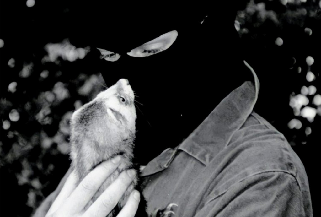 倫敦臥底探員曾滲透潛入極端動保組織，參與解放動物的活動，卻愛上監視目標。（示意圖，非當事人，翻攝X@alexpunx1977）