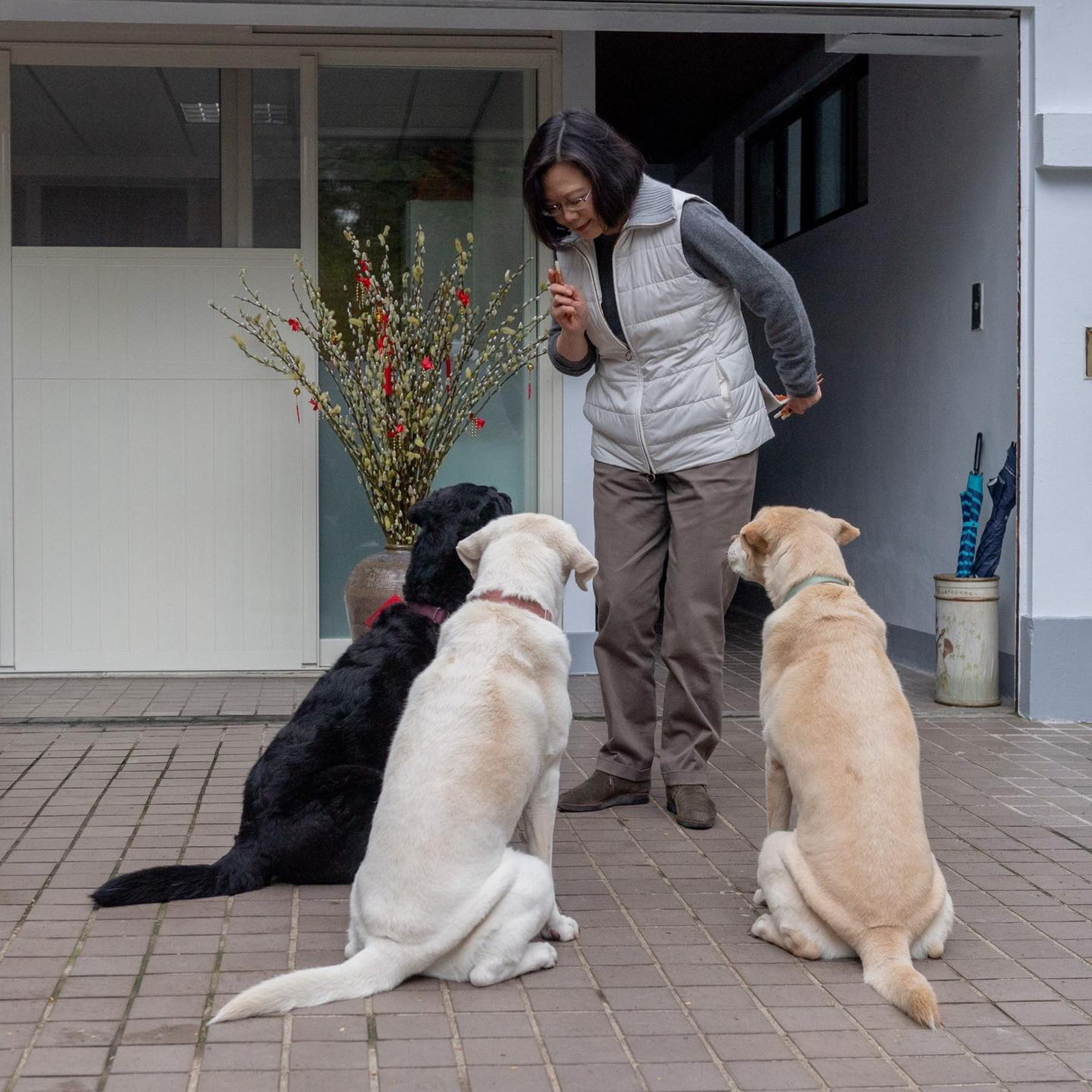 蔡英文和三隻愛犬充滿溫馨回憶。（翻攝臉書＠蔡英文 Tsai Ing-wen）