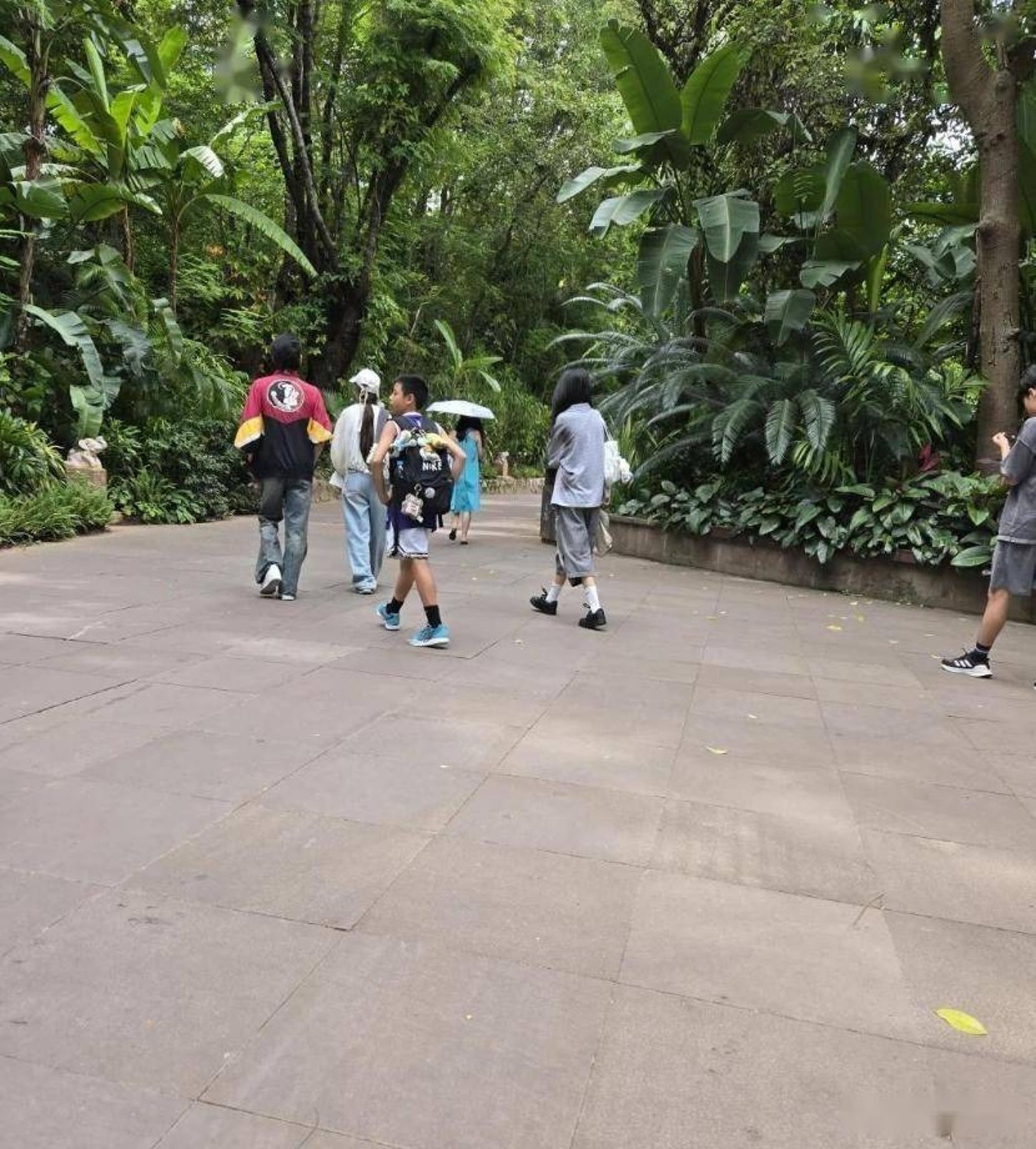 郭碧婷父親分享旅遊照片，透露向佐特地抽空陪岳家人玩了兩天。（翻攝養老者小紅書）