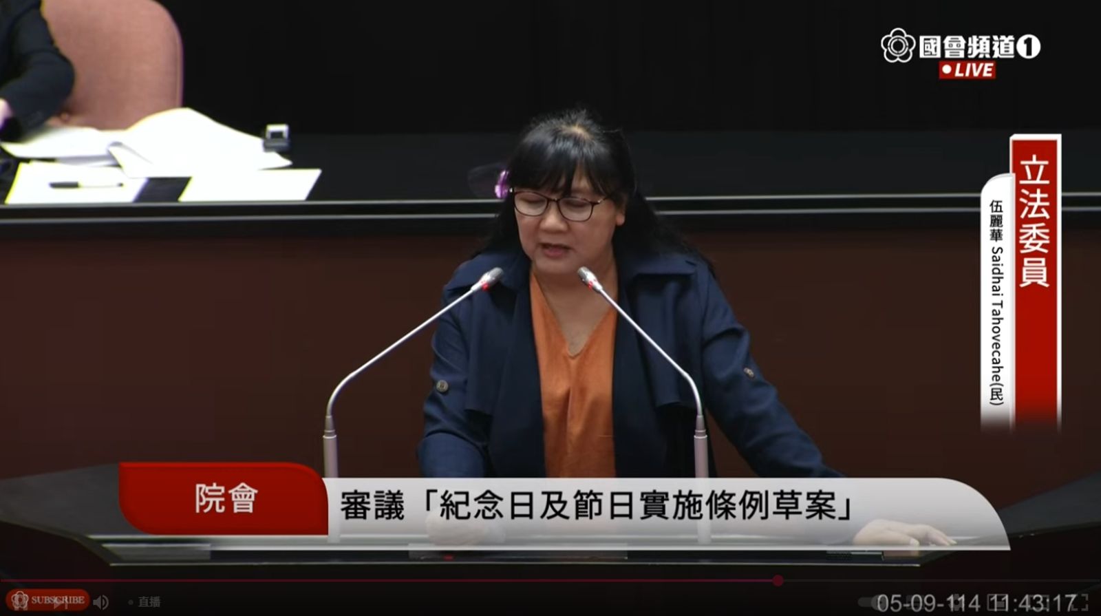 伍麗華在發言中提及,原住民在國定假日修法的難處,認為更應充分討論。(翻攝自YouTube@國會頻道)