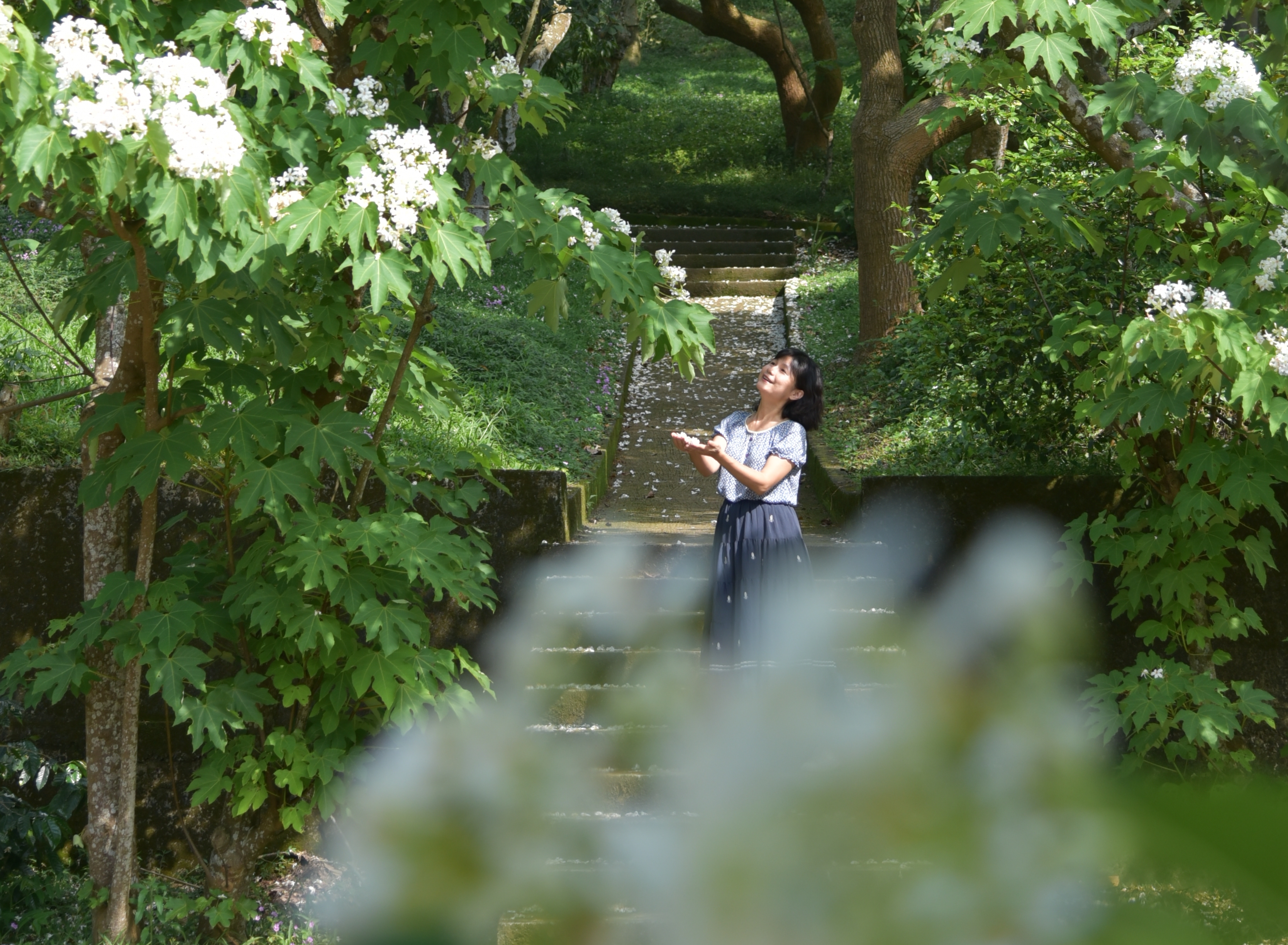 仁和步道兩側林蔭成群，景觀優美，桐花盛開時更是打卡熱點。（賴玉萍）