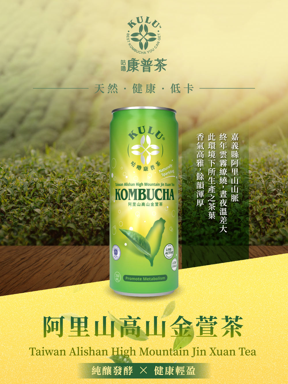 咕嚕康普茶阿里山金萱純釀康普茶　世界金牌加持的健康氣泡茶新選擇