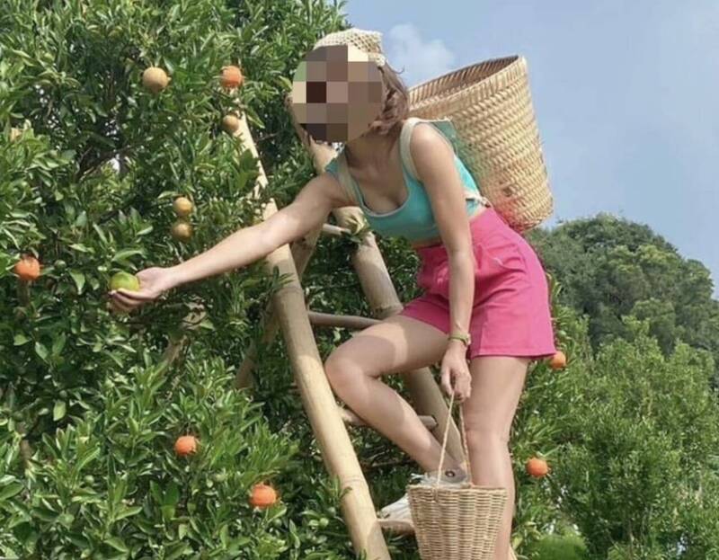 黑心非法仲介集團以高薪農場工作誘騙泰國偏遠地區女性來台,還被強迫要拍攝工作照片讓雇主挑選。(移民署提供)