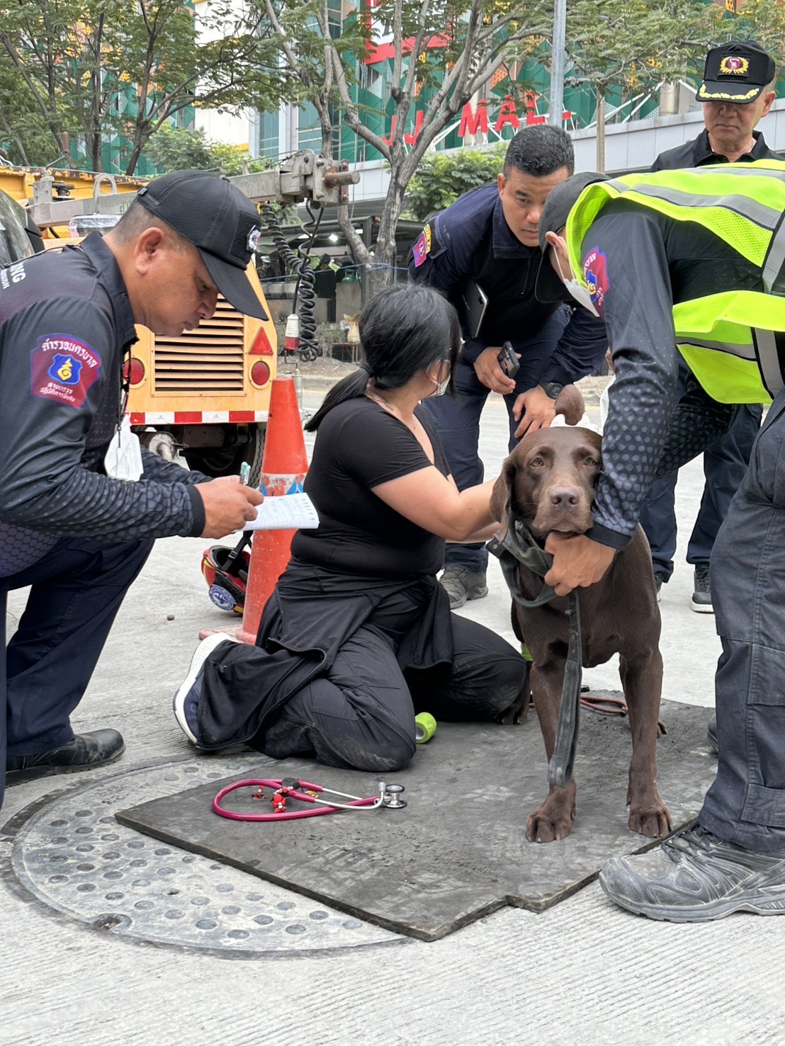救災現場今日發生搜救犬赤腳上陣不幸受傷事件,現場獸醫跟相關人士隨即替搜救犬檢傷醫治。