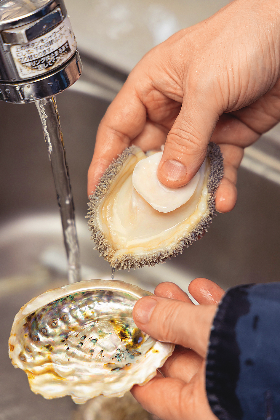 將鮑魚放在活水下清洗乾淨。