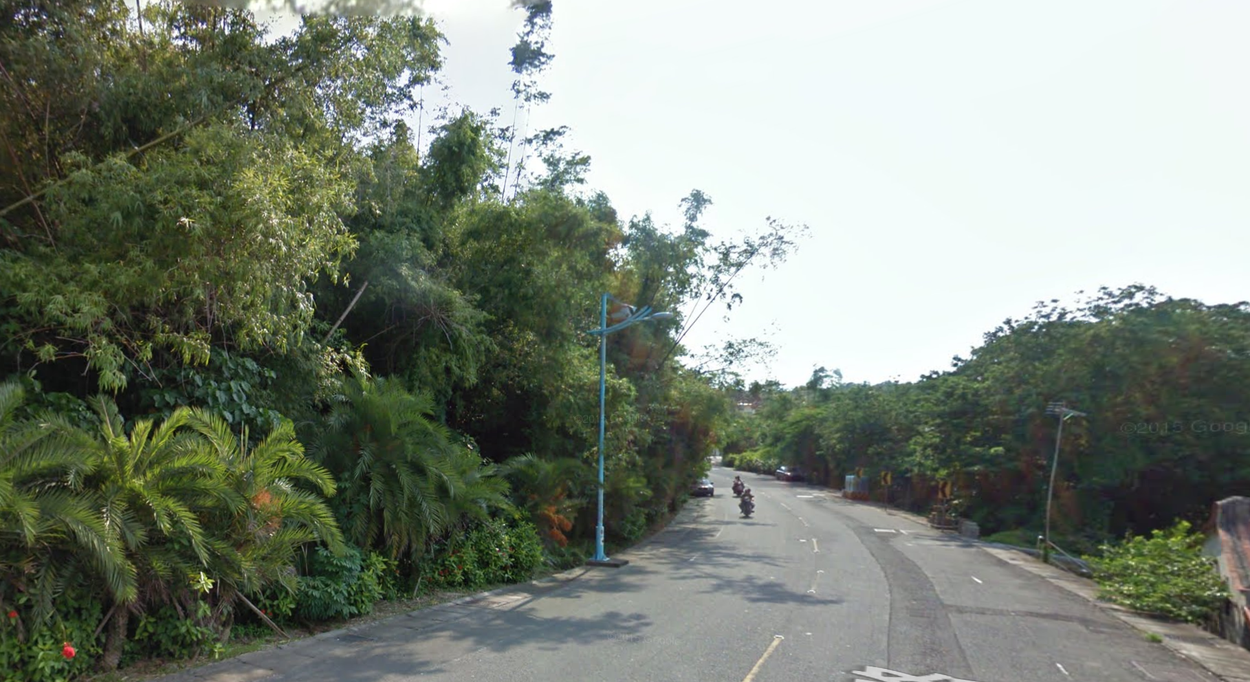 李四川名下持分的小琉球農地，根據2011年7月的google街景圖顯示，當時尚未蓋有鐵皮屋，仍是樹木。（翻攝自Google Maps）