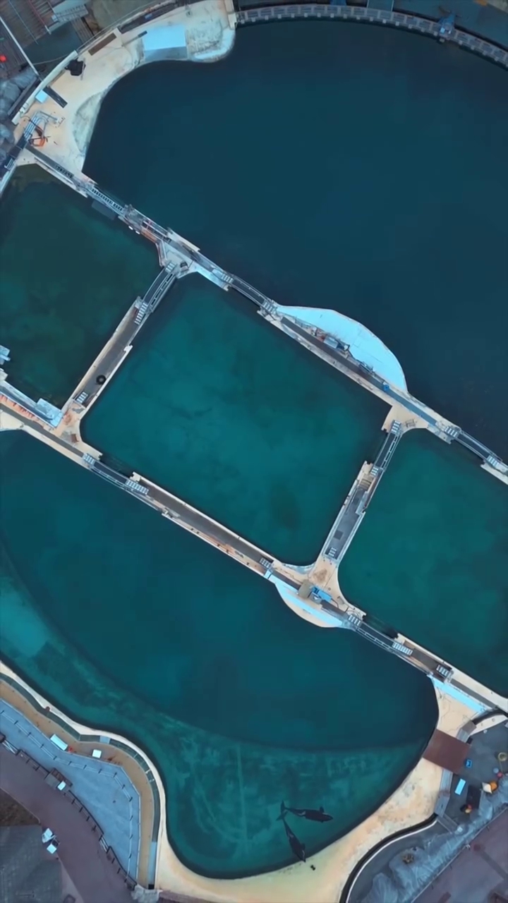法國「安提布海洋世界」已經永久關閉，但仍有鯨豚被棄在此地。（翻攝sephlawless IG）