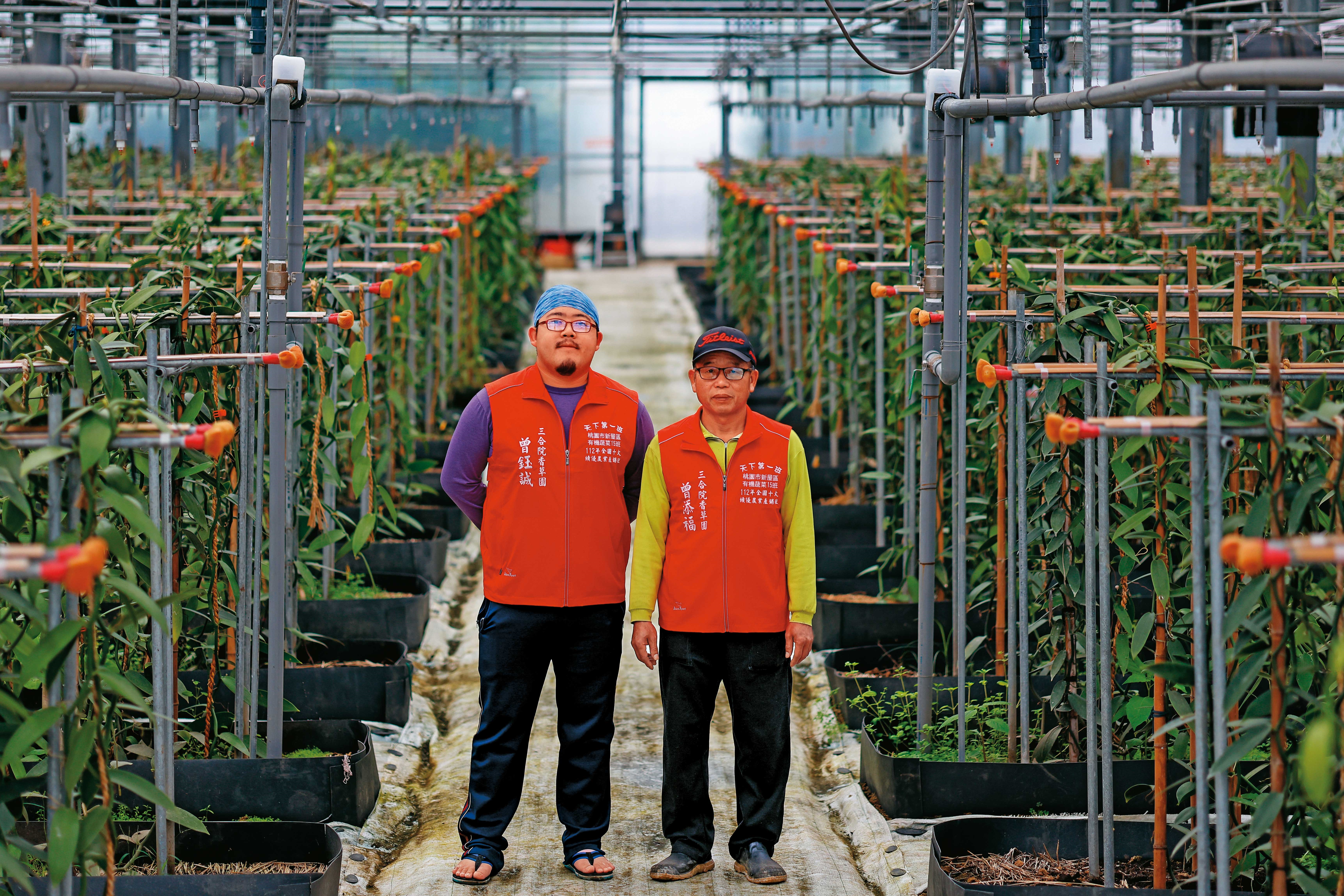 曾添福父子種植的香莢蘭已成功外銷，明年開始作物收益將超過光電收益。