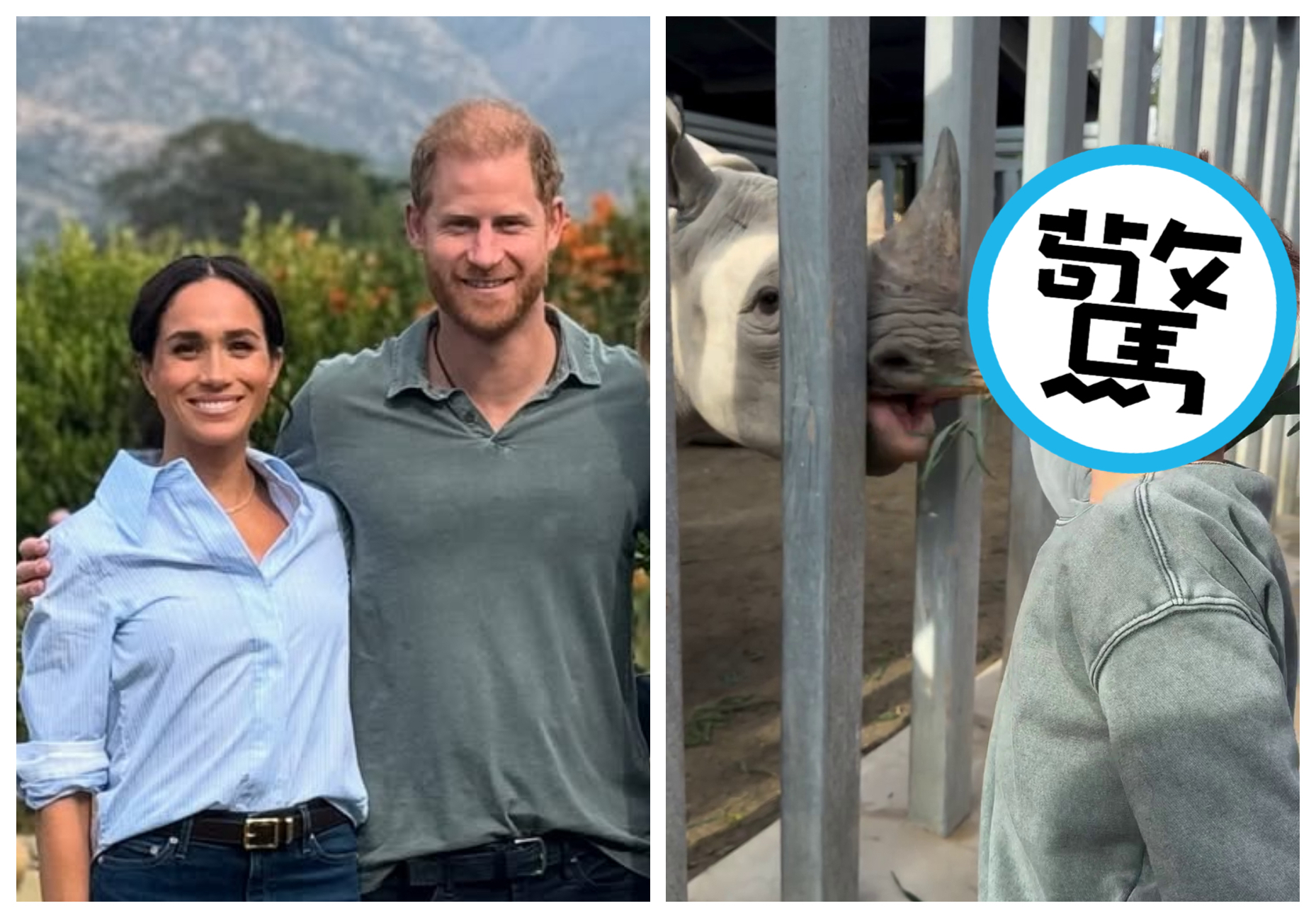 哈利與梅根的兒子亞契（右圖），到動物園餵食犀牛。（翻攝meghan IG）