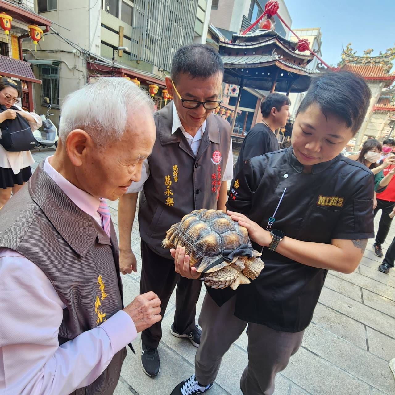 主人帶著蘇卡達陸龜到城隍廟點燈。(翻攝自嘉義城隍廟臉書)