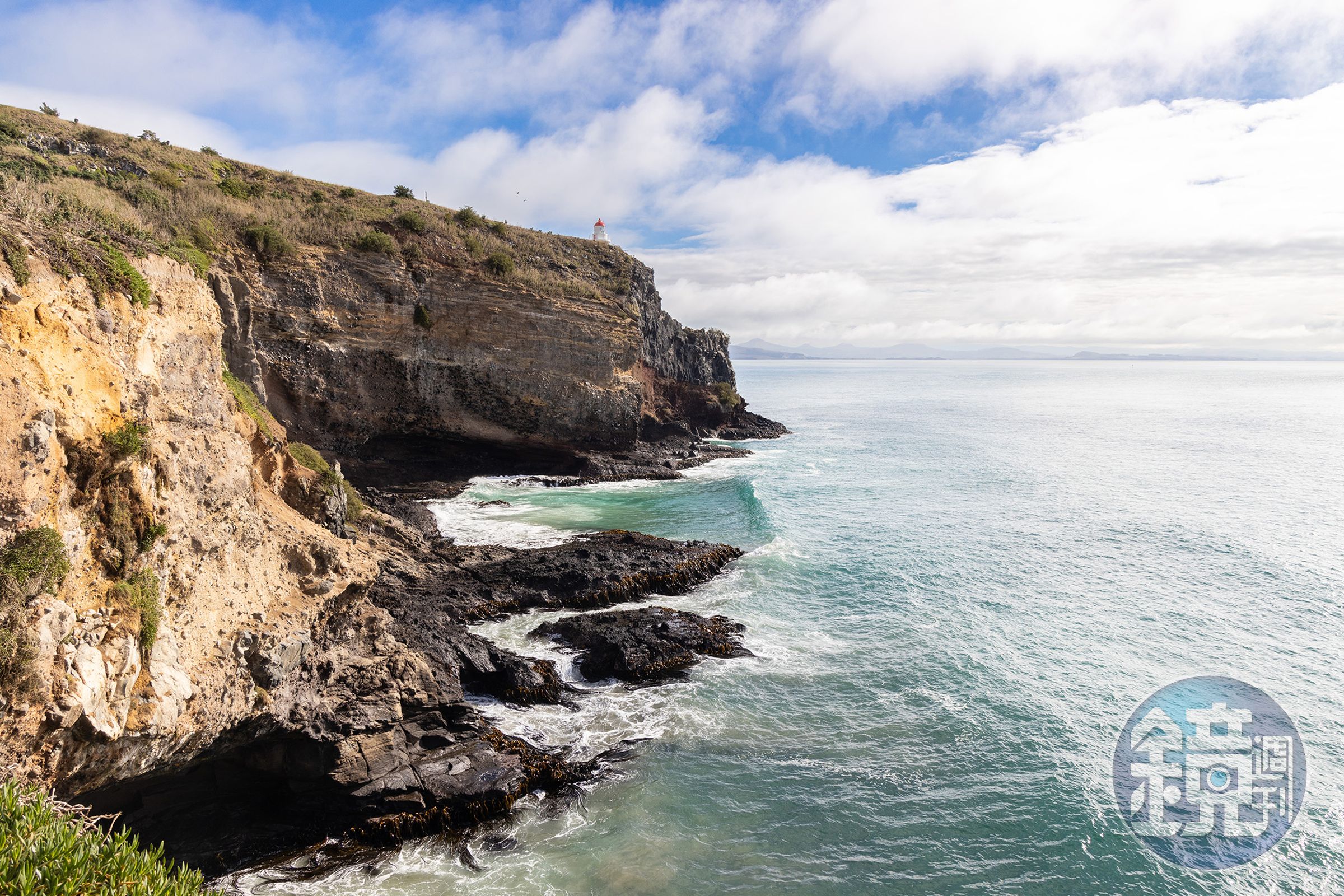 「皇家信天翁中心(Royal Albatross Centre)」,位於奧塔哥半島盡頭的泰瓦羅瓦角(Taiaroa Head)。