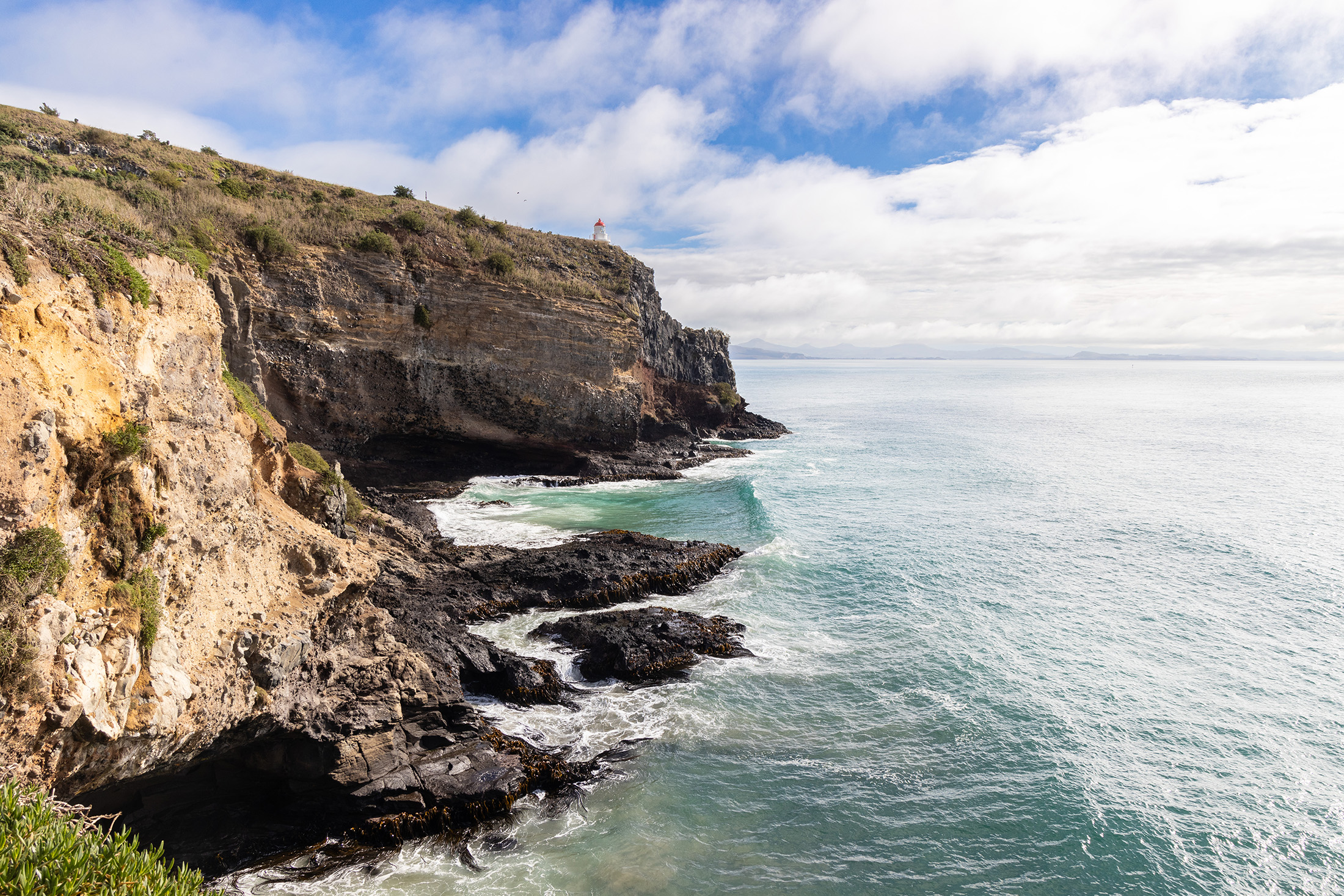 「皇家信天翁中心(Royal Albatross Centre)」,位於奧塔哥半島盡頭的泰瓦羅瓦角(Taiaroa Head)。