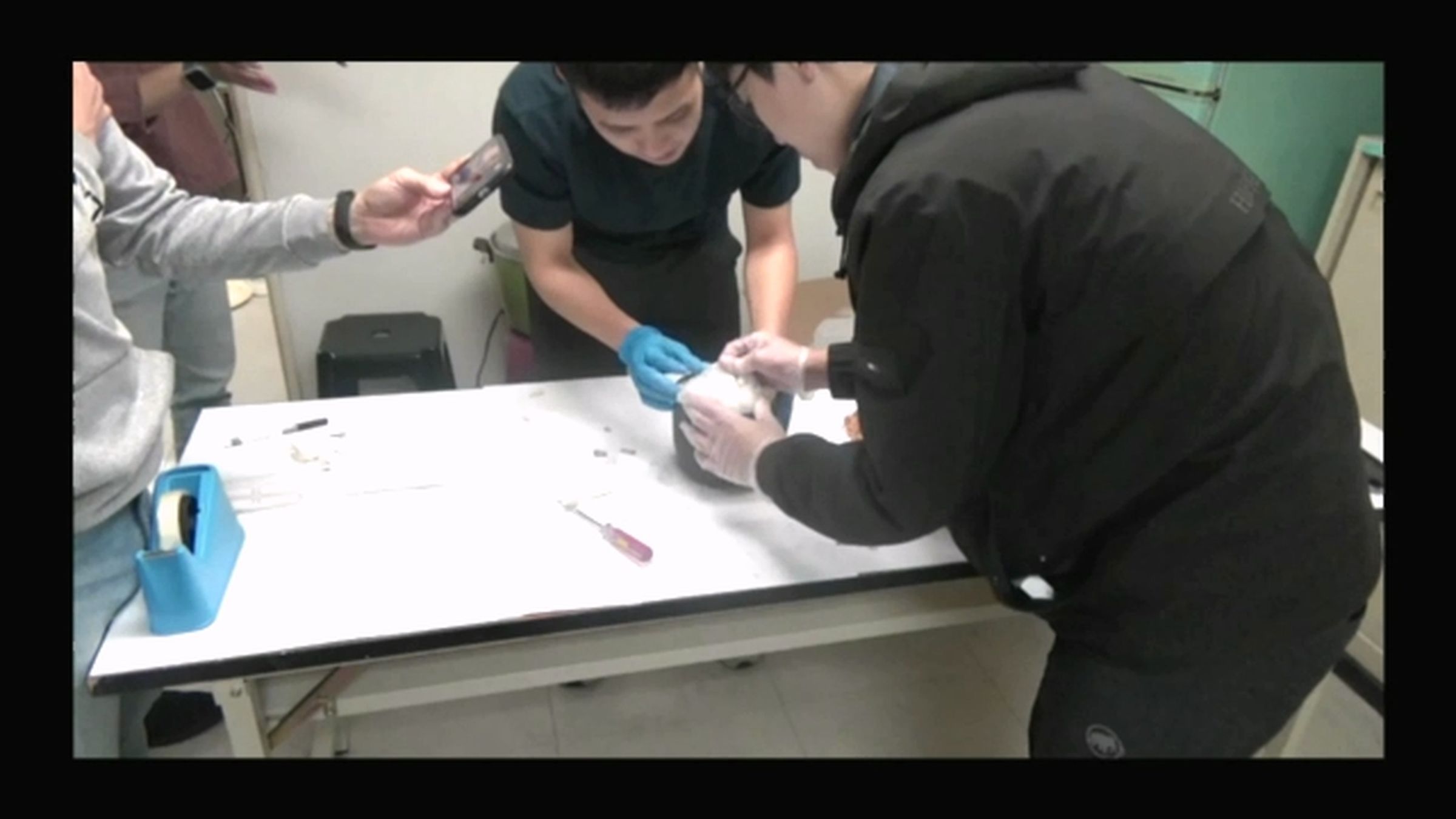 警方撬開假花盆找到毒品。（翻攝畫面）