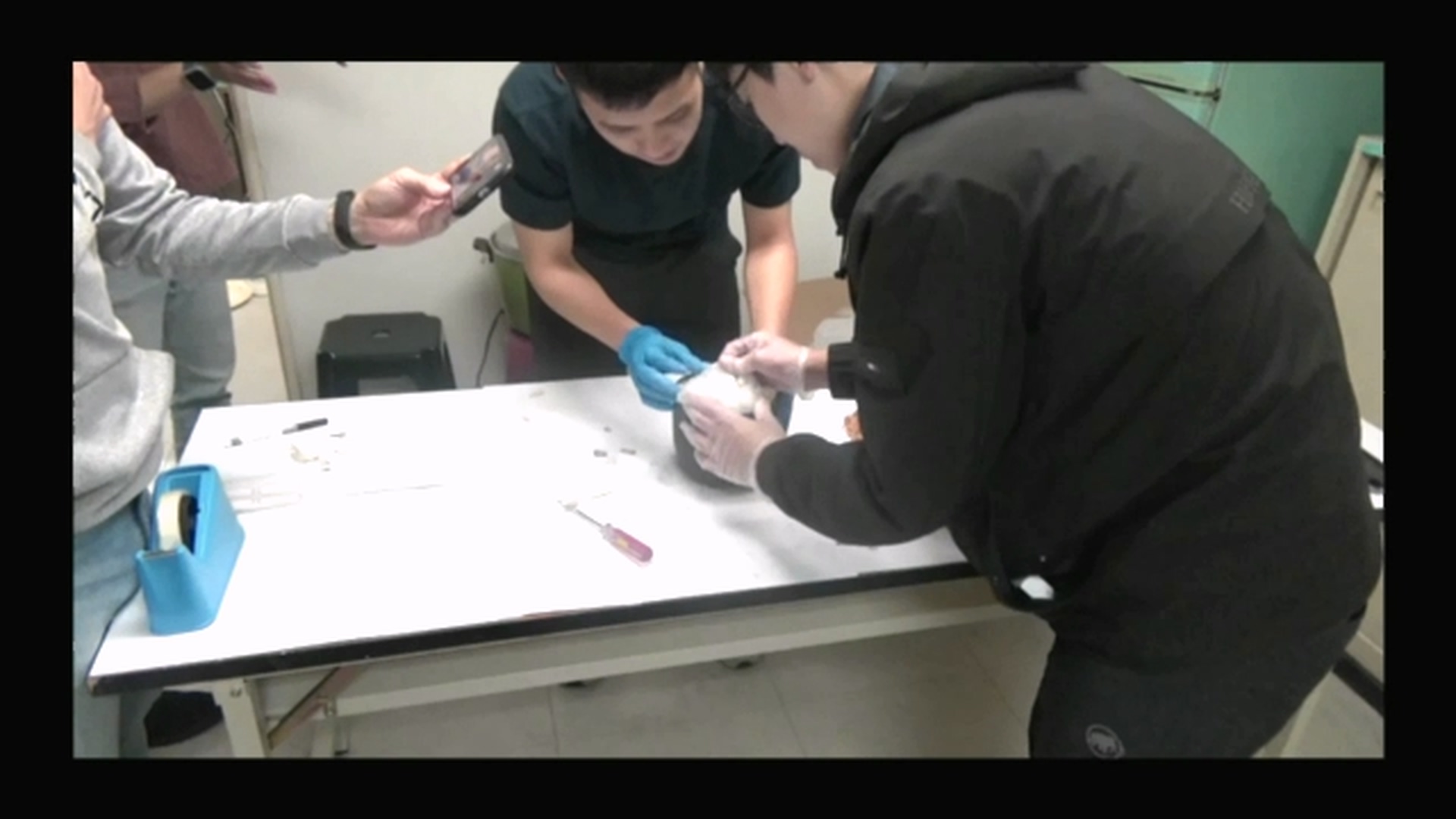 警方撬開假花盆找到毒品。（翻攝畫面）