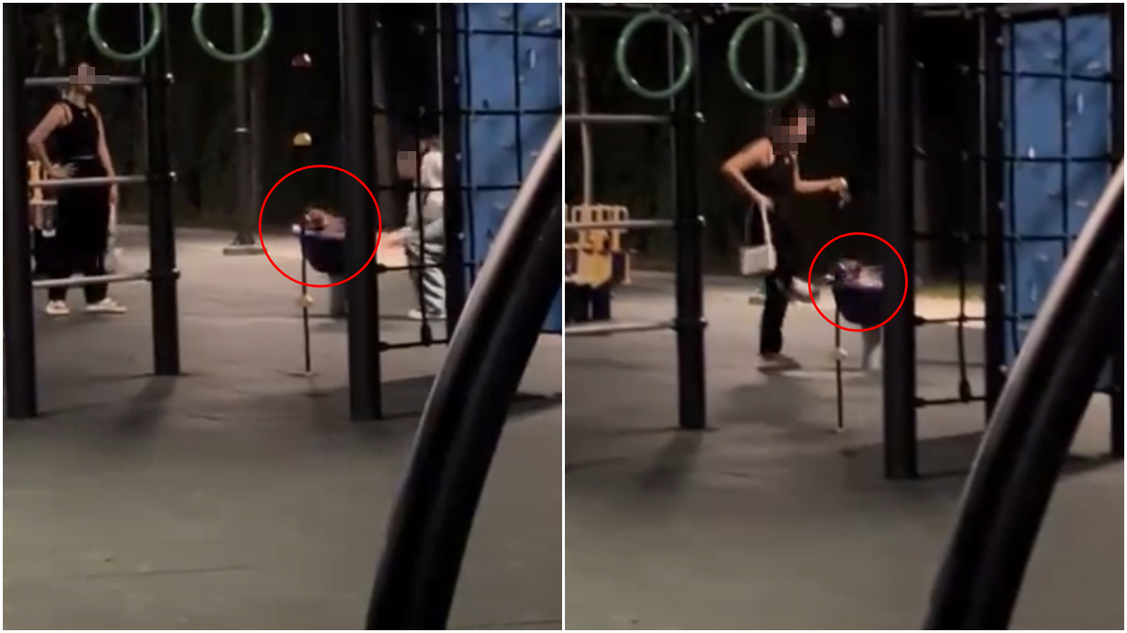 彰化2名女子把狗放到公園旋轉椅「高速旋轉」。（翻攝「虐待動物惡人整理」臉書社團）