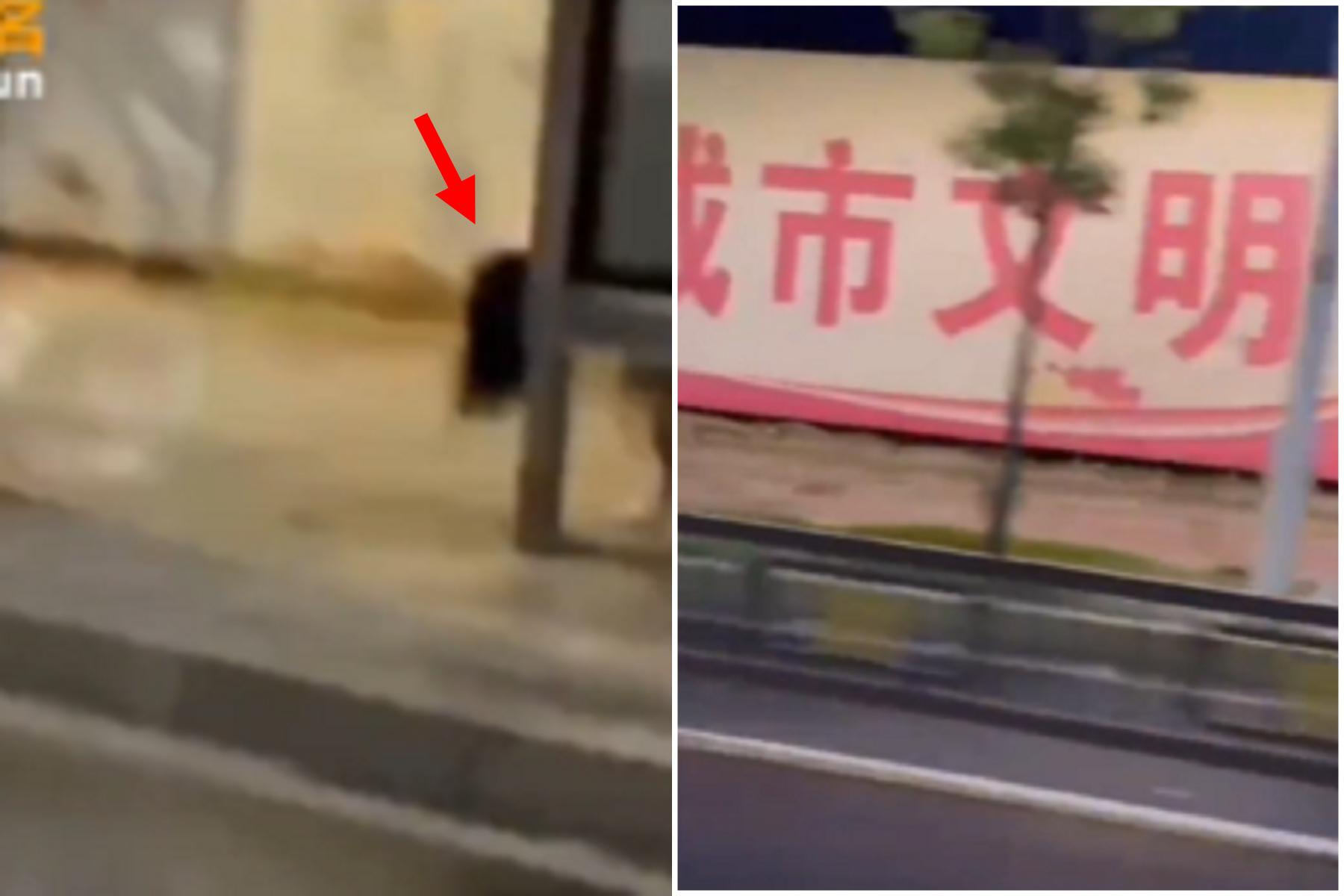 情侶當街活春宮，叫春聲陣陣淒厲！「貞子頭」突冒出。（翻自《黑料網》）