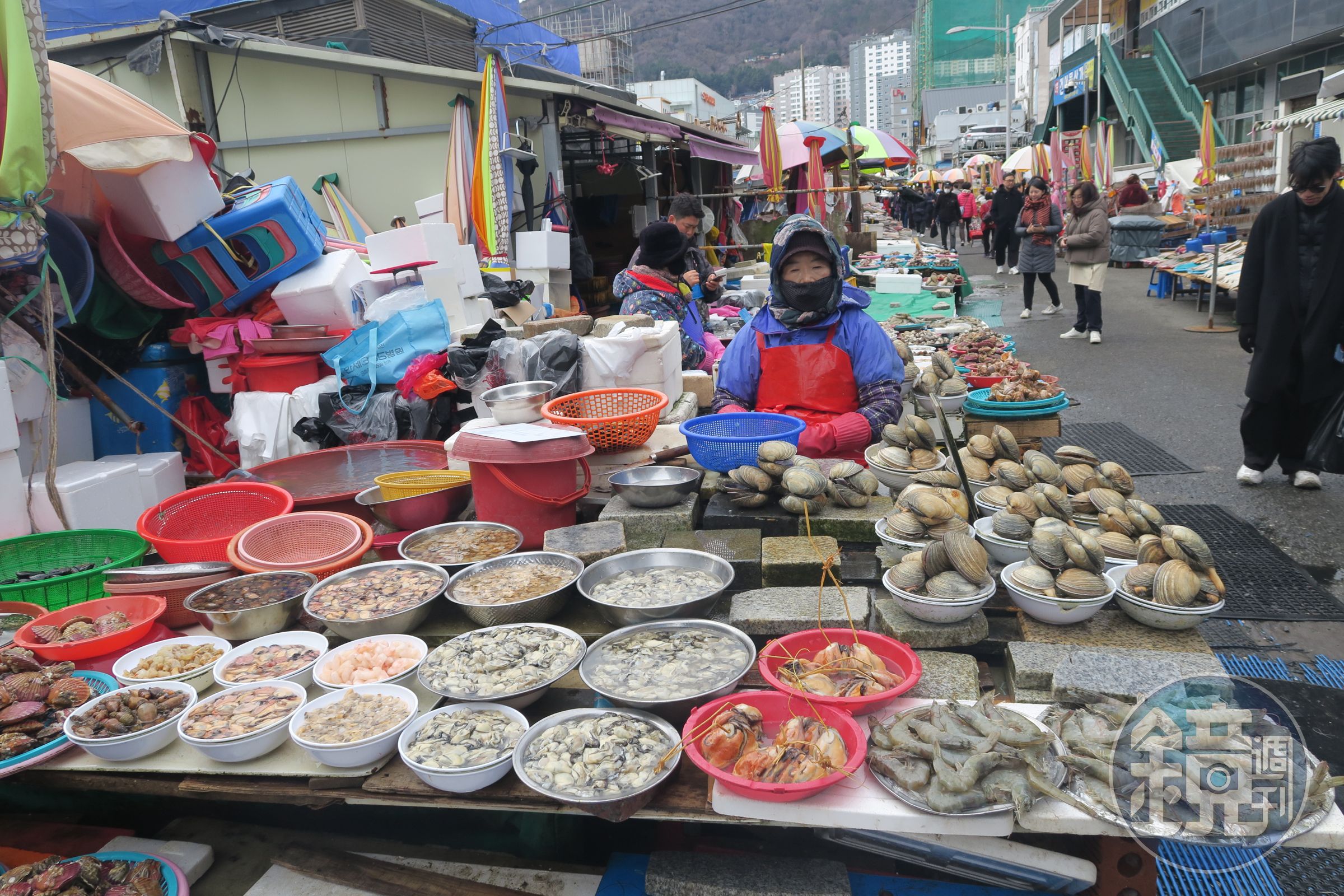 老闆把螺貝分門別類處理好,一盆盆展示出來,讓客人一目了然。