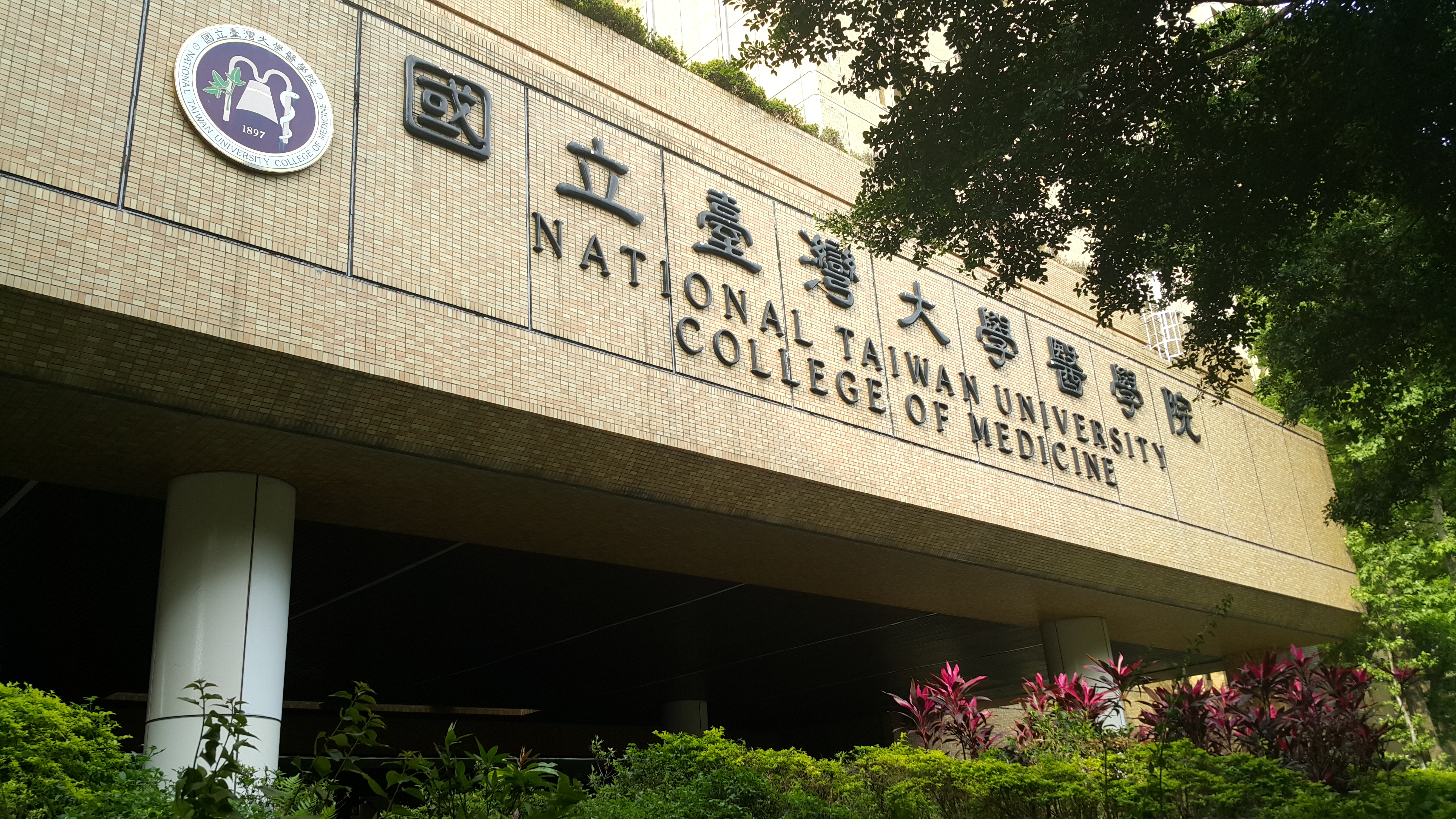 台中女學生的科展作品被爆抄襲，台大校方決定取消她的醫學系錄取資格，掀起網友論戰。（本刊資料照）