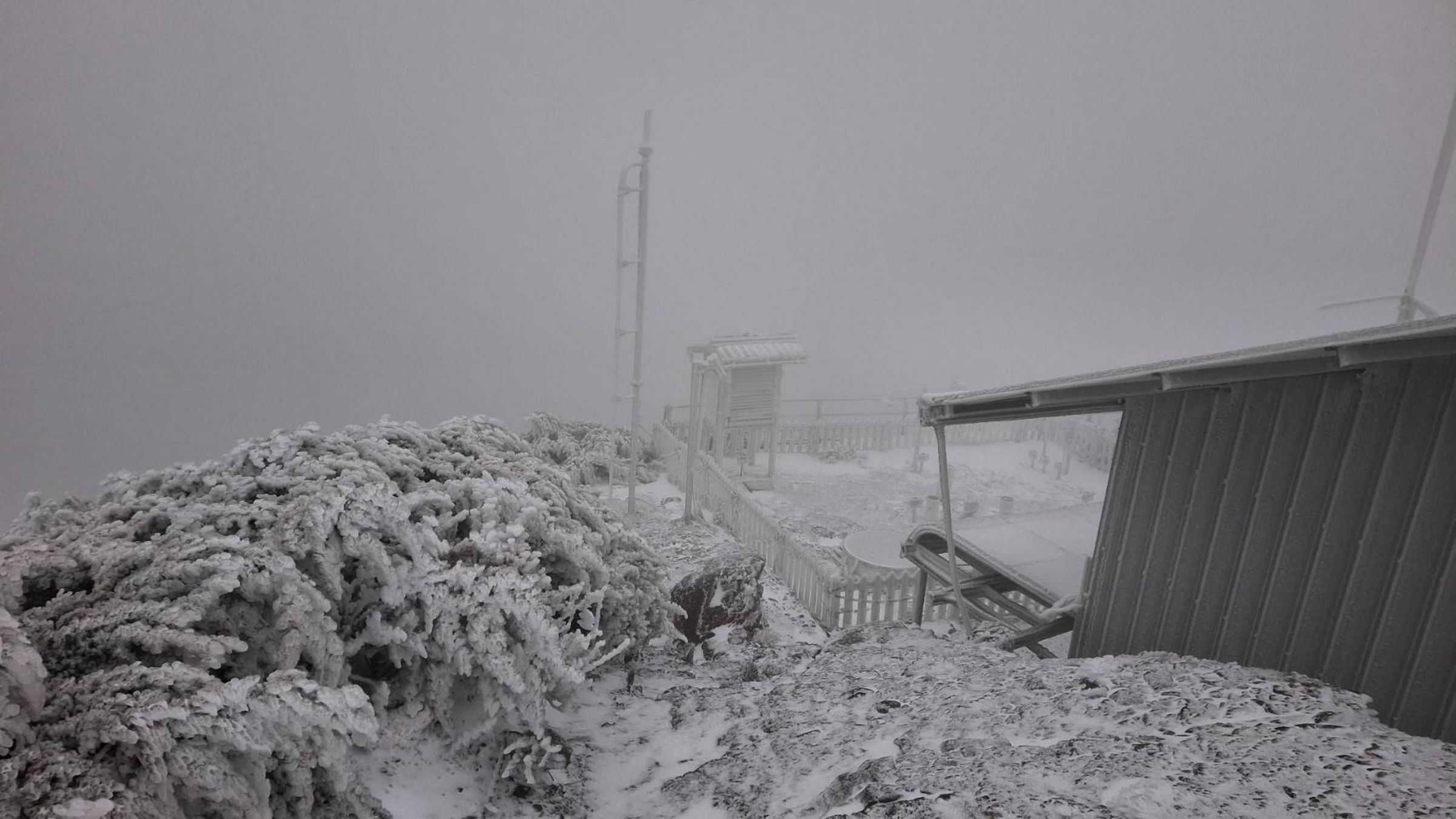 玉山累積積雪1公分並持續降雪，一片銀白世界宛如仙境。（翻攝自臉書粉專報天氣 - 中央氣象署）