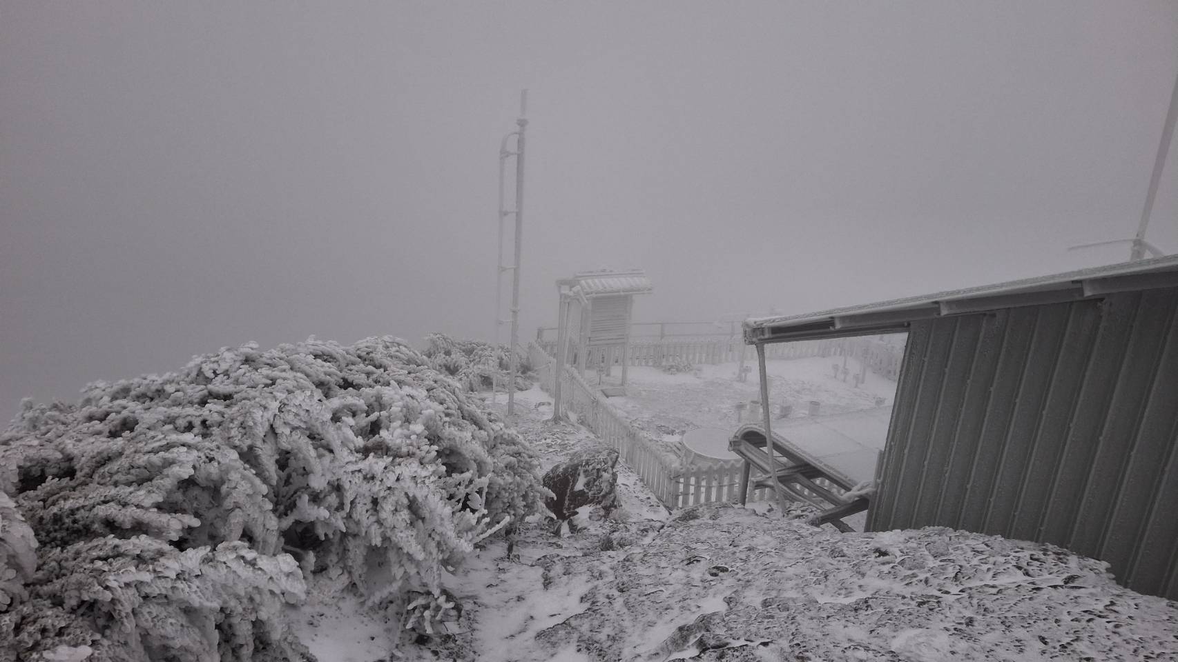 玉山累積積雪1公分並持續降雪，一片銀白世界宛如仙境。（翻攝自臉書粉專報天氣 - 中央氣象署）