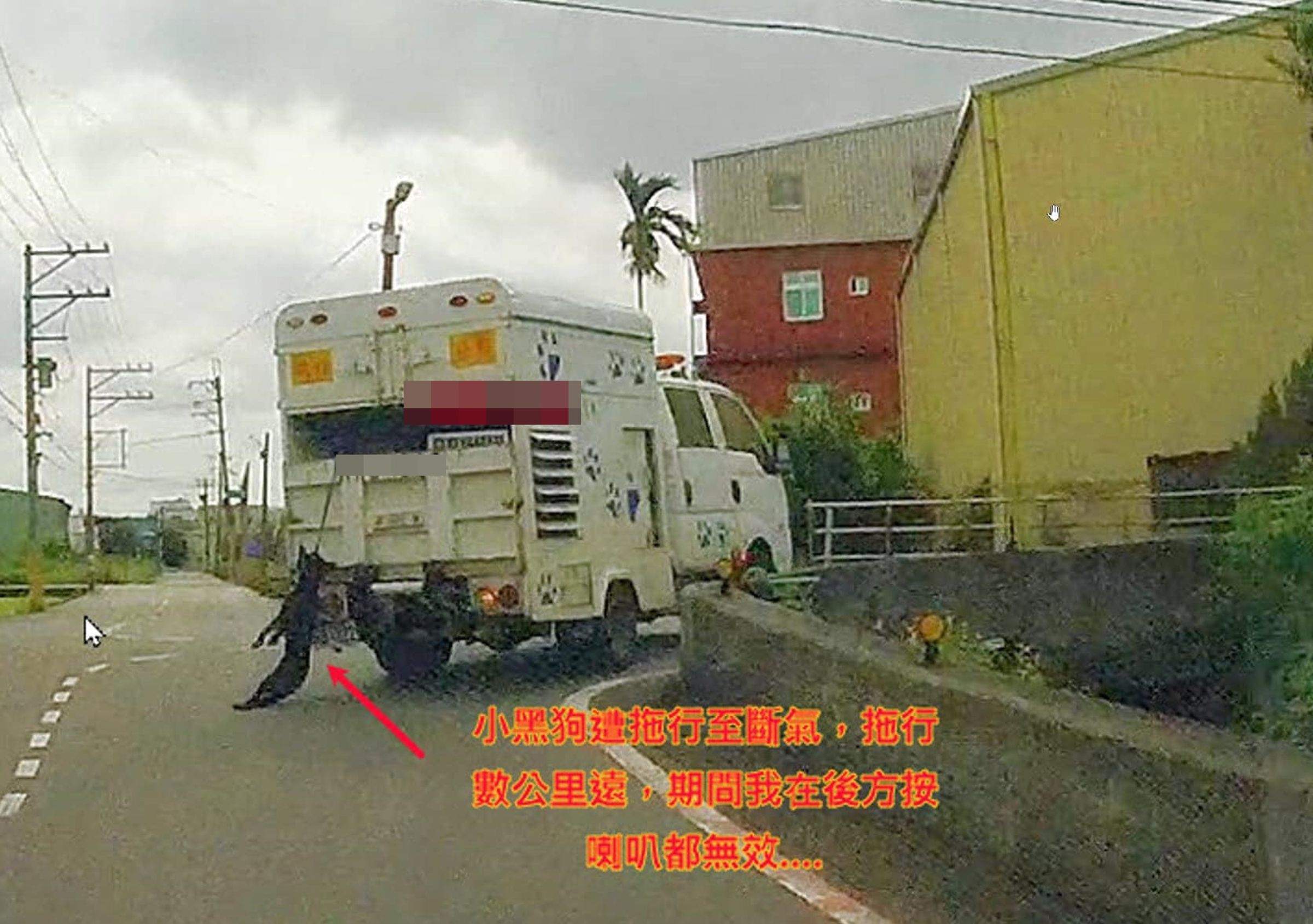 一隻黑狗竟被民眾目睹,懸掛在捕狗車的後方外面,畫面怵目驚心。(翻攝自桃園在地生活大小事臉書社團)