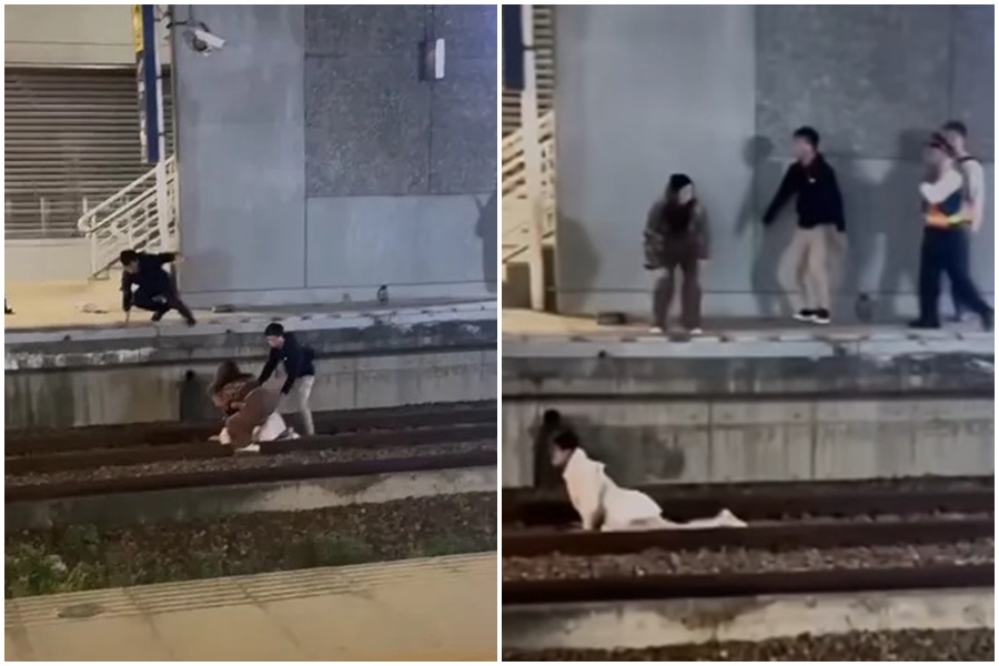 一名29歲、本國籍的阮姓女子情緒失控，在列車即將進站前，跳入軌道、甚至趴在鐵軌上。（翻攝自爆料公社臉書）