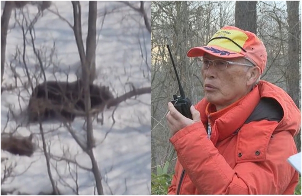 北海道一名77歲獵人在2018年協助當地市政府驅熊,事後卻遭到取消槍枝許可。(翻攝自X)