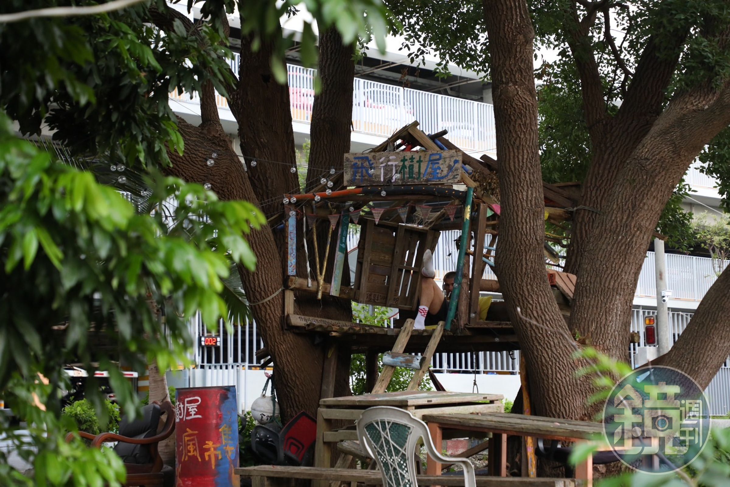 掛滿串燈的「飛行樹屋」就建於咖啡廳外的小公園樹上。