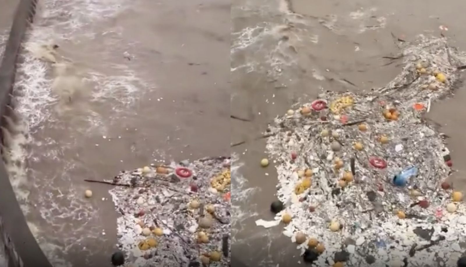 巴威颱風登陸中國!浙江掀巨浪「裡面全是垃圾」驚悚畫面曝 網酸:根本物歸原主