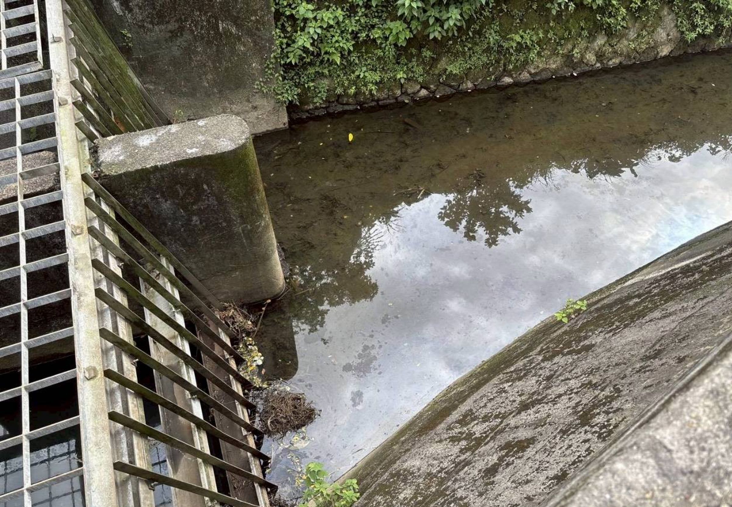 基隆河油污案,影響超過18萬戶用水。(台水提供)
