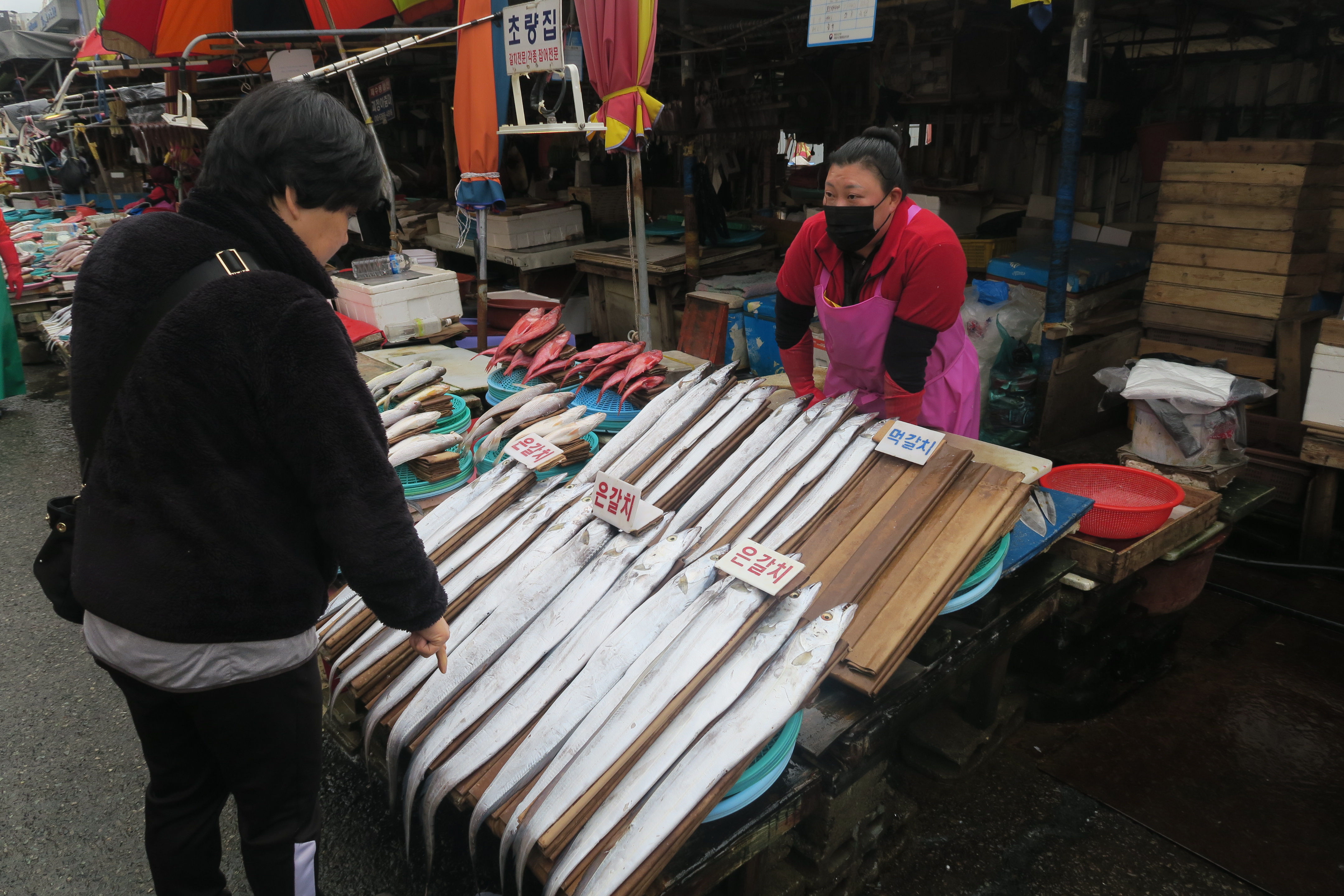 客人正在挑選當季正肥美的白帶魚。