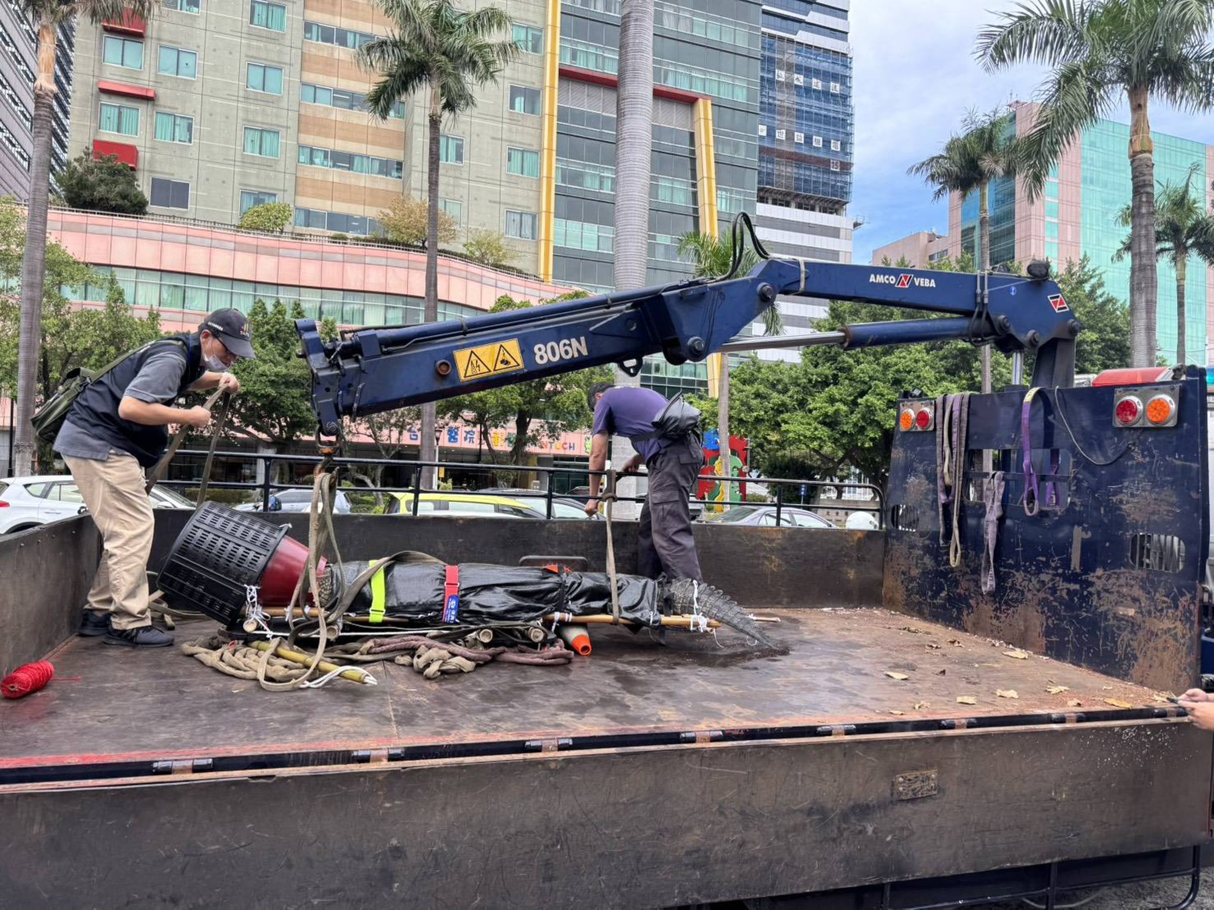 立院門口驚見鱷魚。（警方提供）