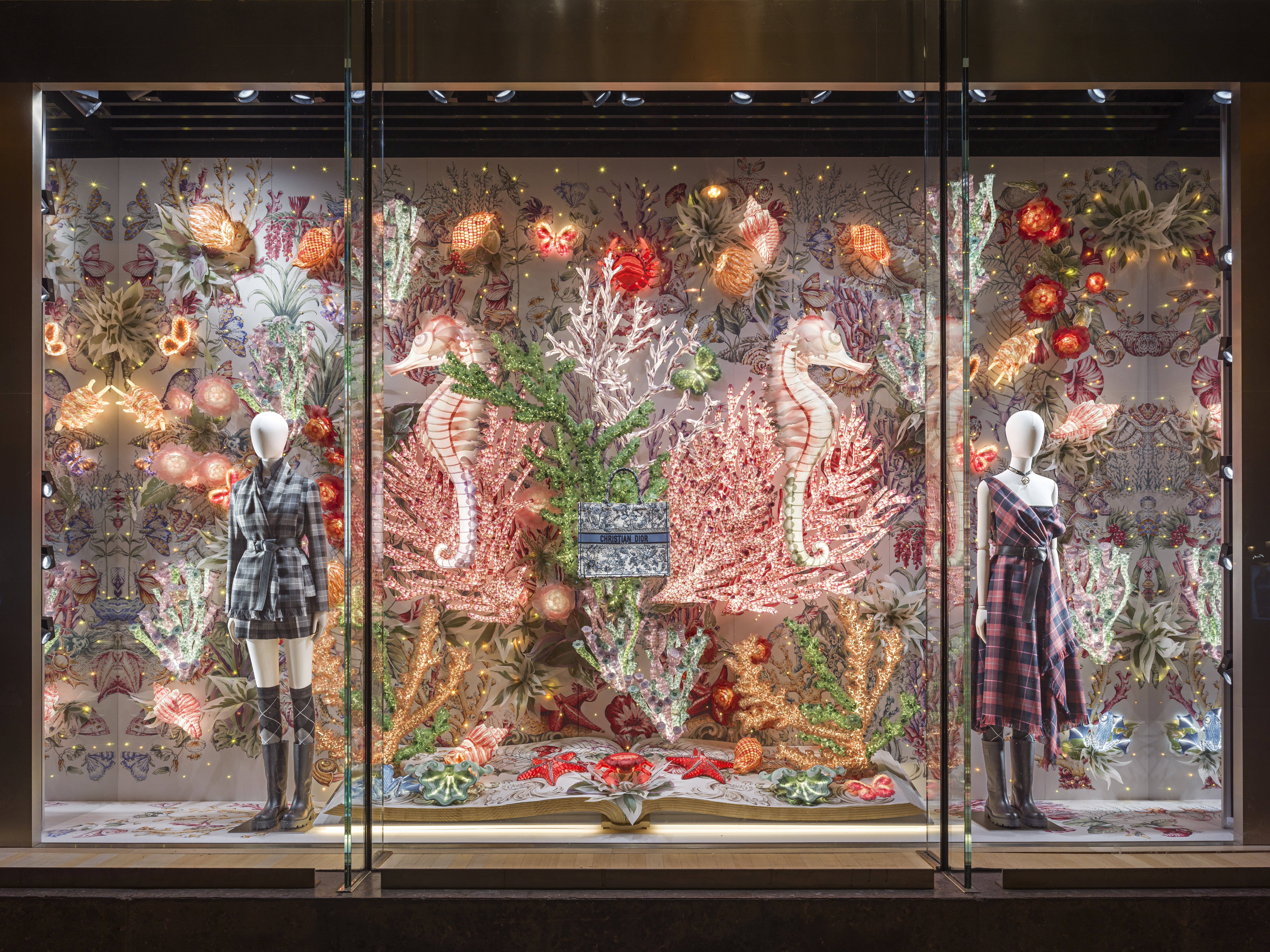 DIOR的佳節櫥窗以Cabinet de La Mer（瀛海珍奇）主題。（迪奧提供）