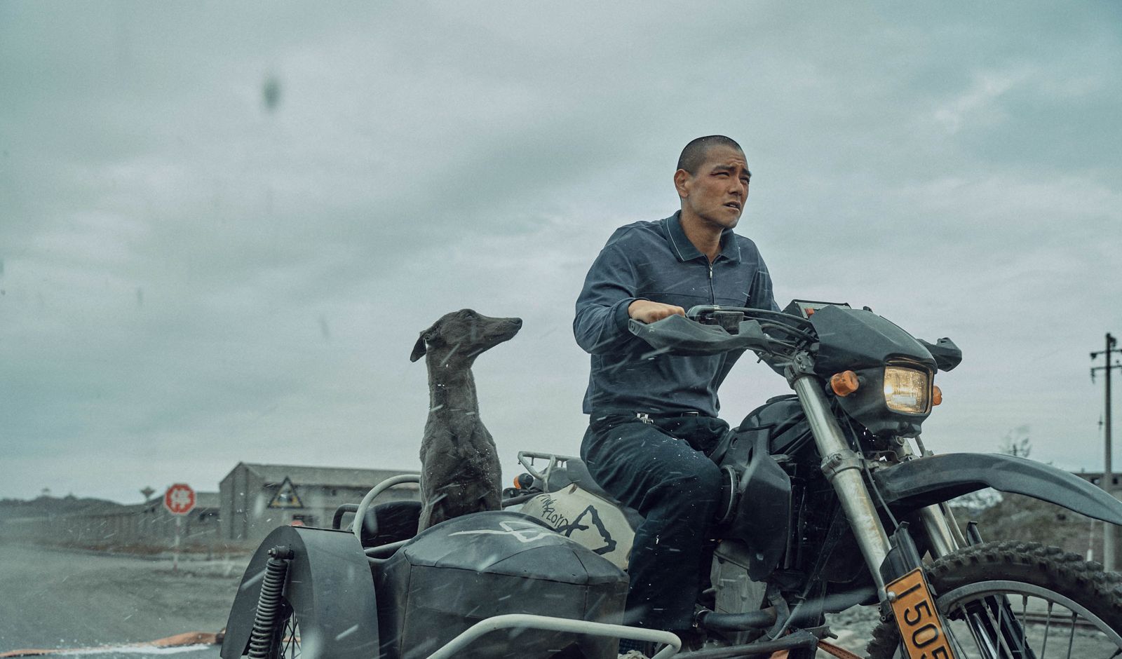 榮獲坎城「一種注目」大獎　彭于晏《狗陣》春節在台上映