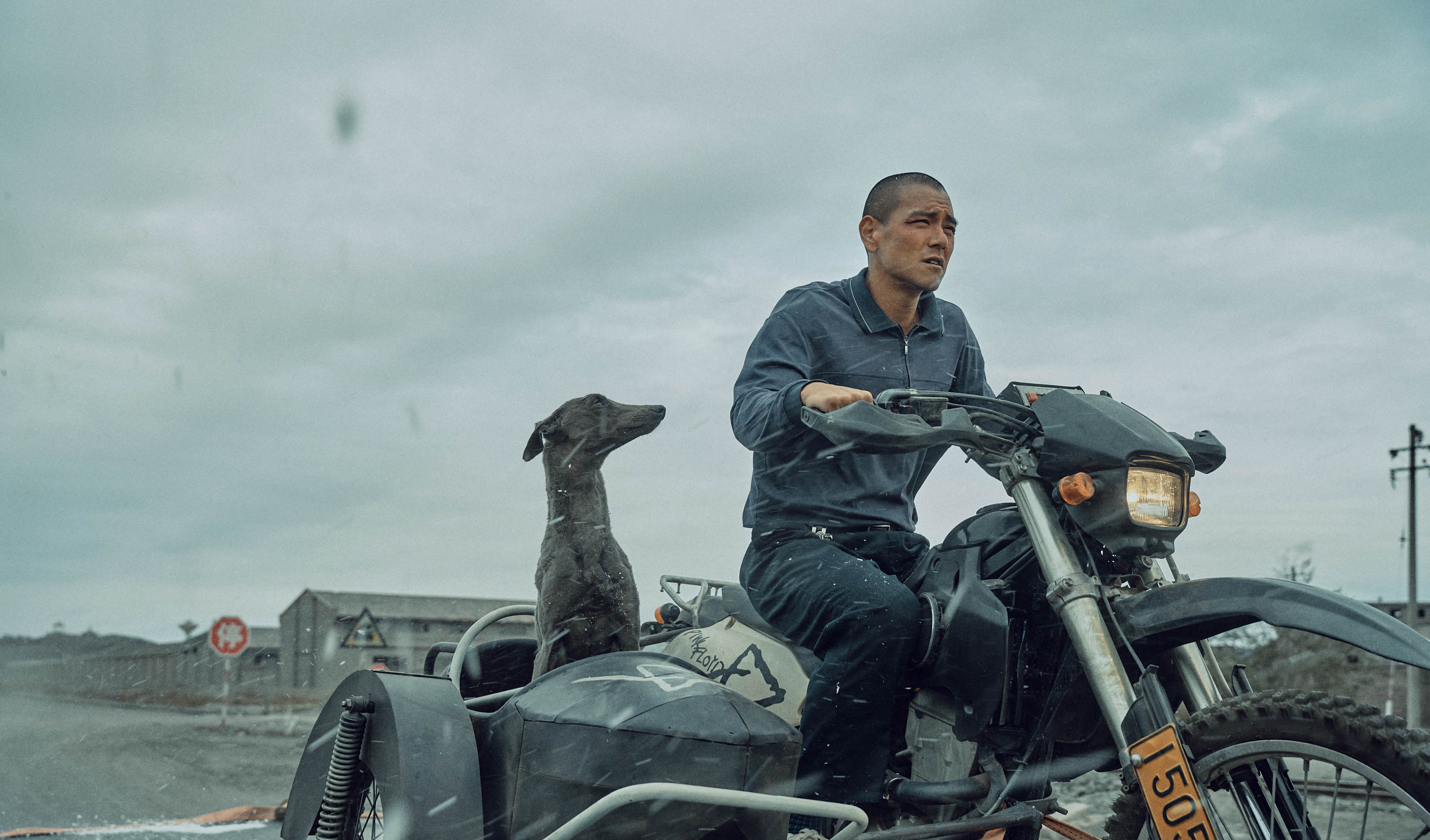 彭于晏將近2年沒拍戲，在接到導演管虎的演出邀約，毫不猶豫就答應演出，也與片中狗狗「小辛」建立深厚感情。（海鵬提供）