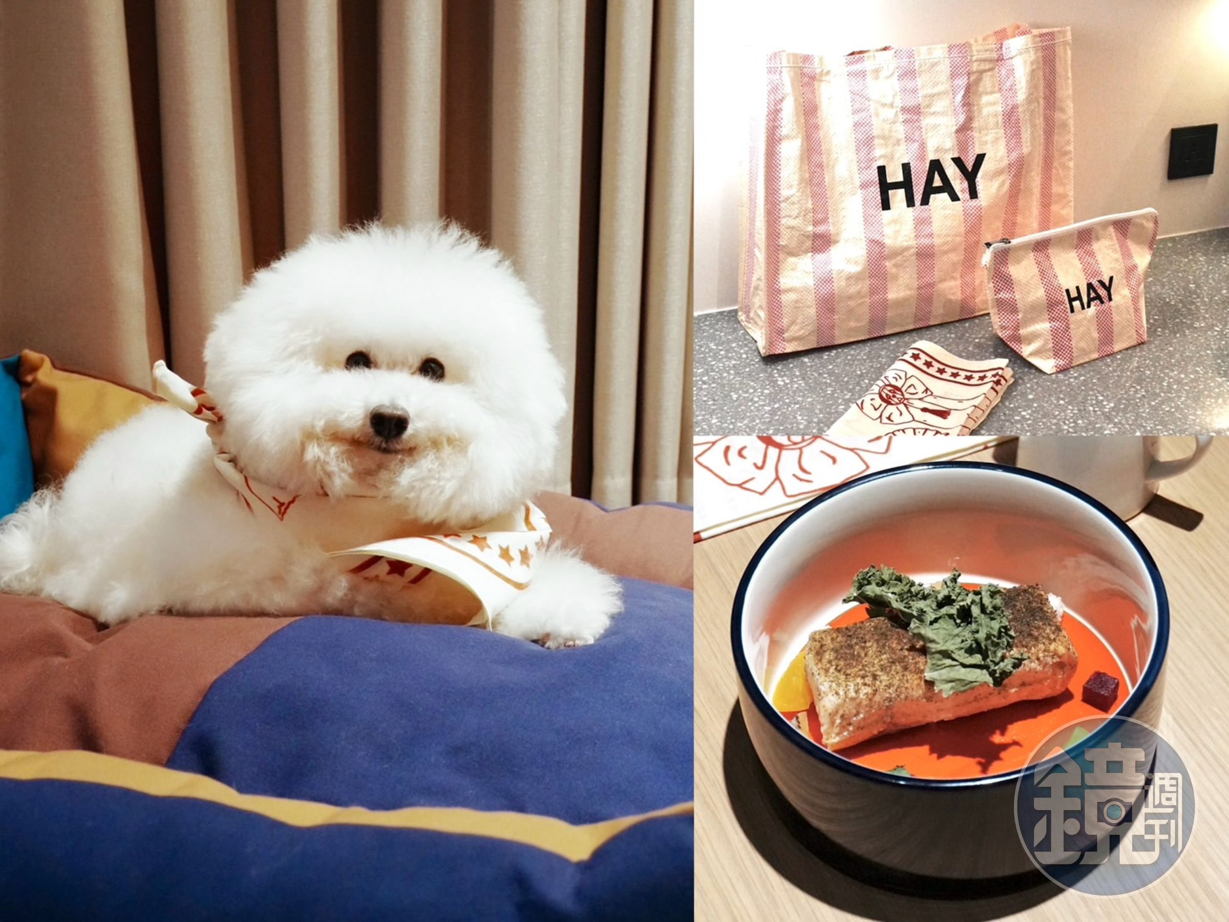 「金普頓大安酒店」與知名丹麥美學品牌「HAY」合作，祭出時髦奢寵提案「毛孩隱逸假期 Purr-fect HAYcation」。