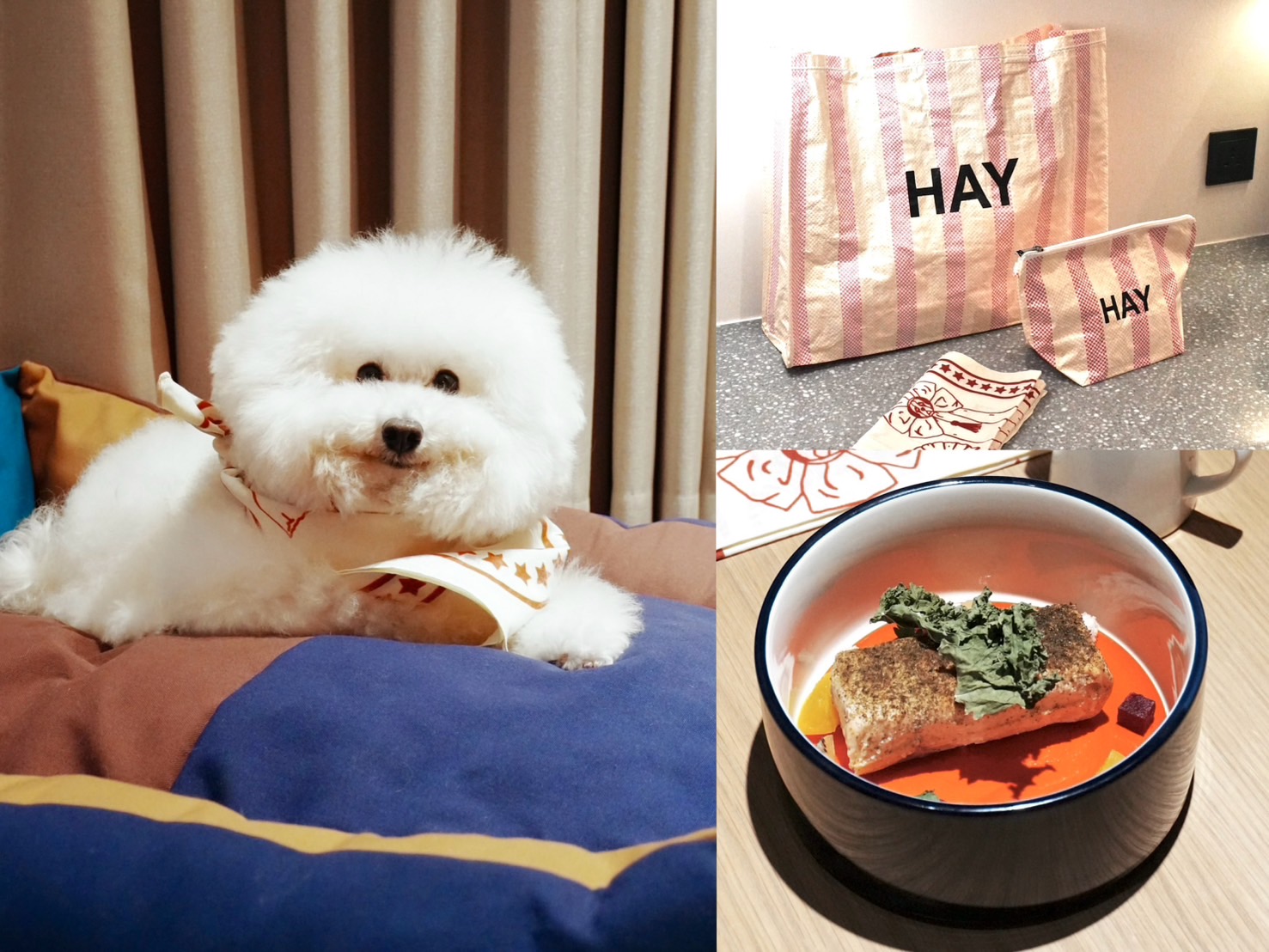 「金普頓大安酒店」與知名丹麥美學品牌「HAY」合作，祭出時髦奢寵提案「毛孩隱逸假期 Purr-fect HAYcation」。