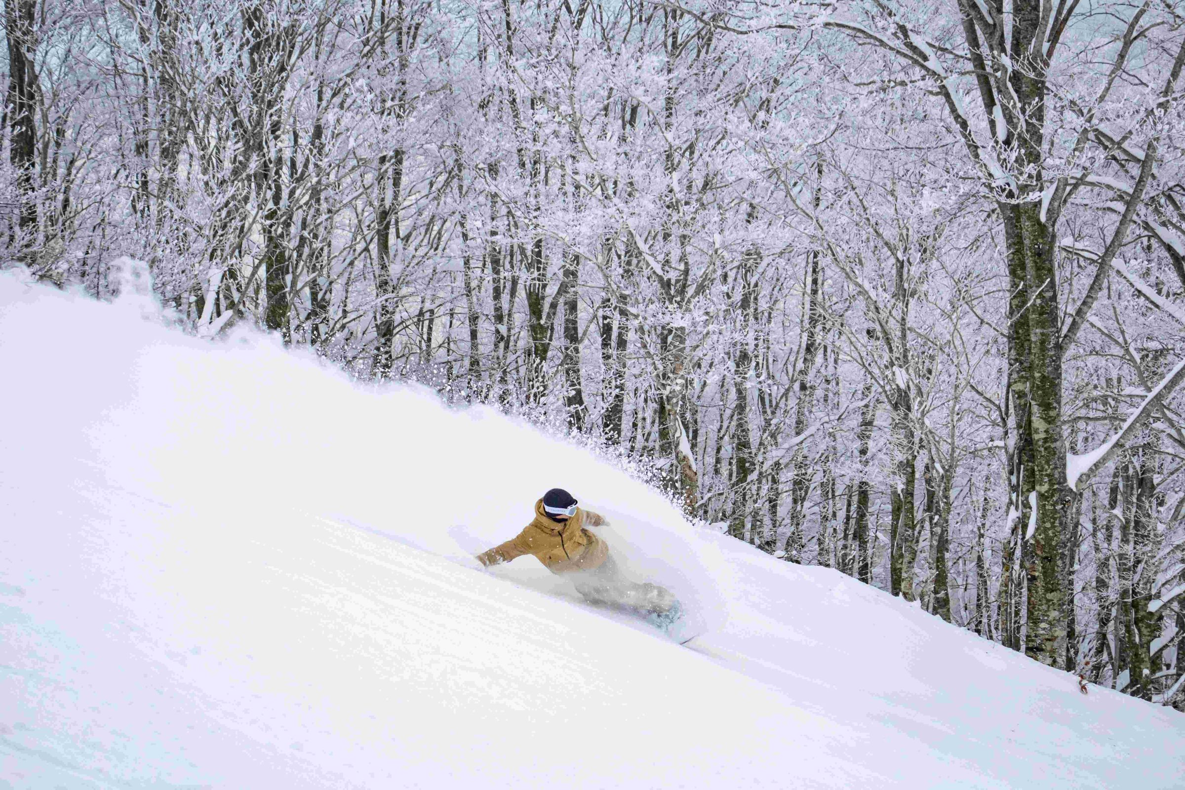 以粉雪聞名的NEKOMA Mountain,最適合挑戰單板滑雪。(NEKOMA Mountain提供)