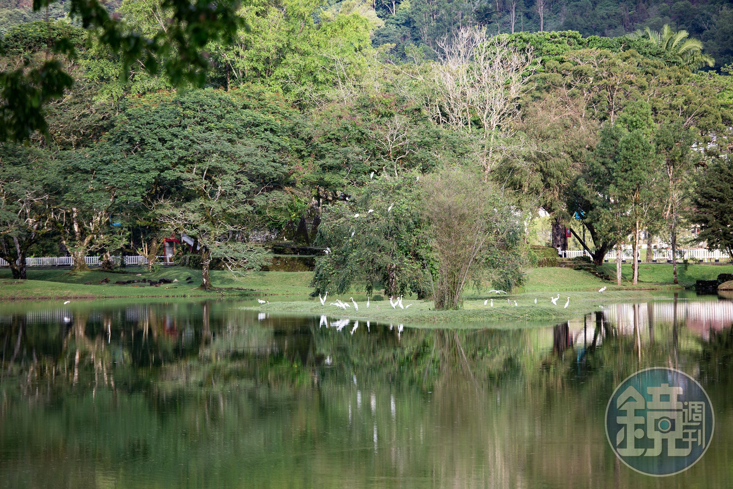 平靜如鏡面的湖面，倒映著山光水色，也是各種飛禽的棲身之所。