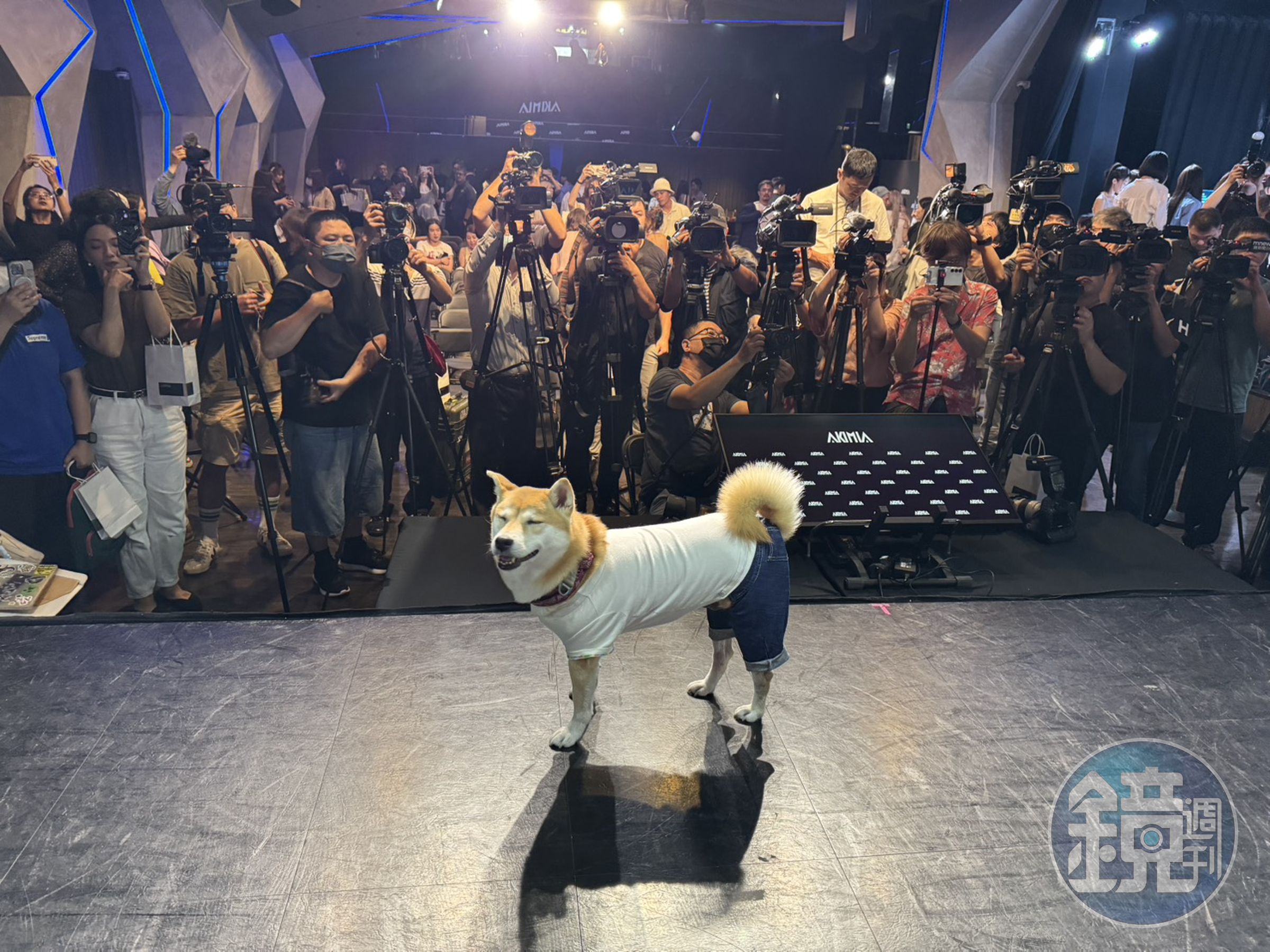 陳柏霖帶愛犬Afuri出席活動，Afuri面對鏡頭大方又自在。