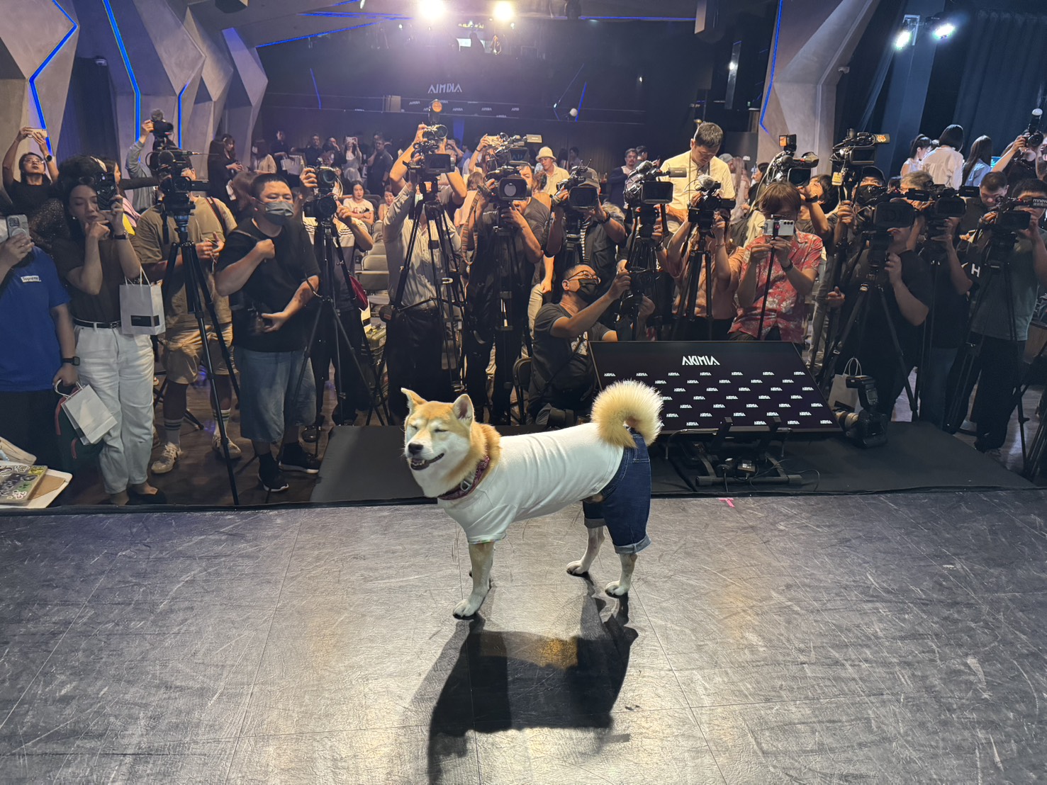 陳柏霖帶愛犬Afuri出席活動，Afuri面對鏡頭大方又自在。