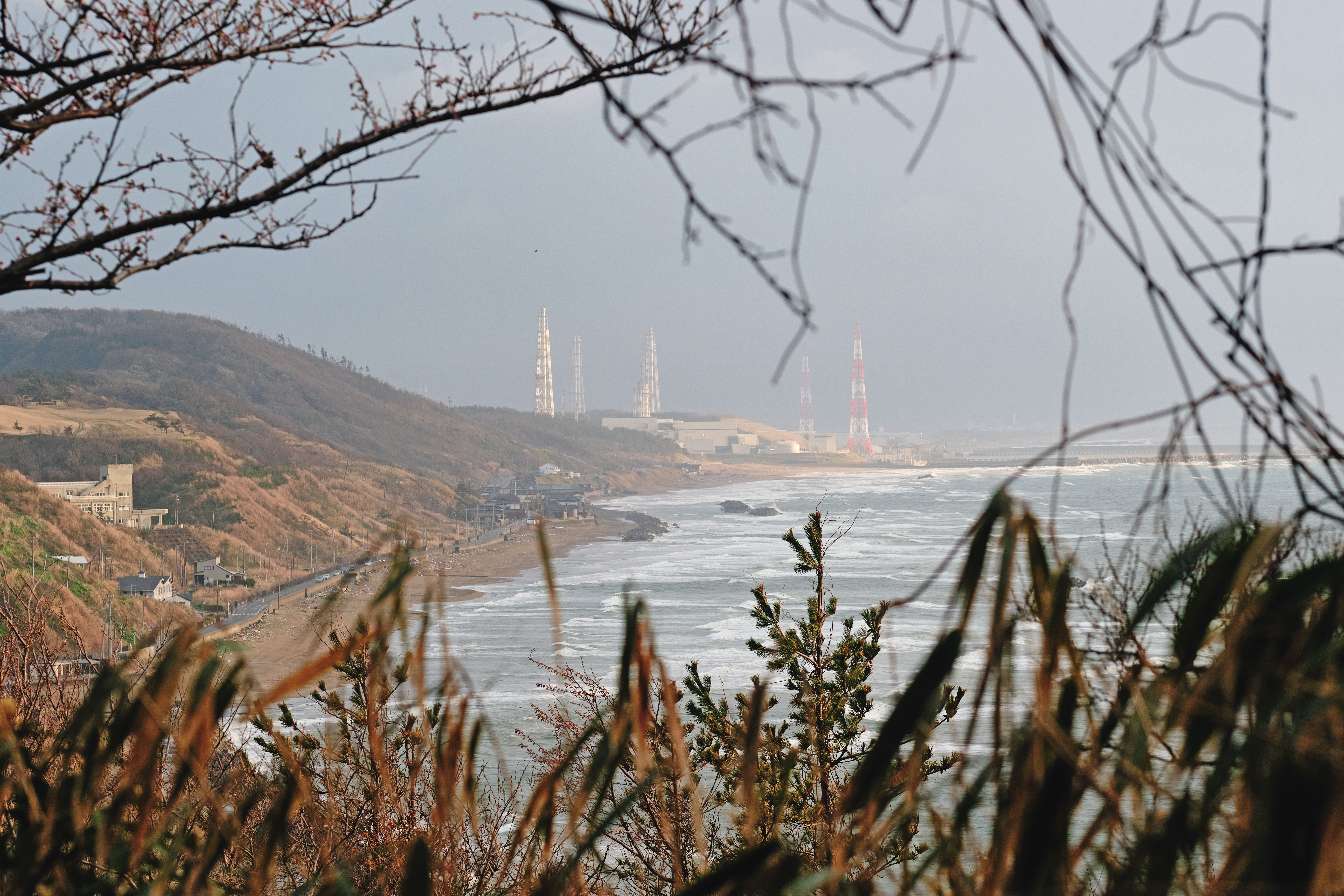 柏崎刈羽核電廠位於新潟縣南邊海岸，電廠裝置容量比台灣3座核電廠加起來還大。