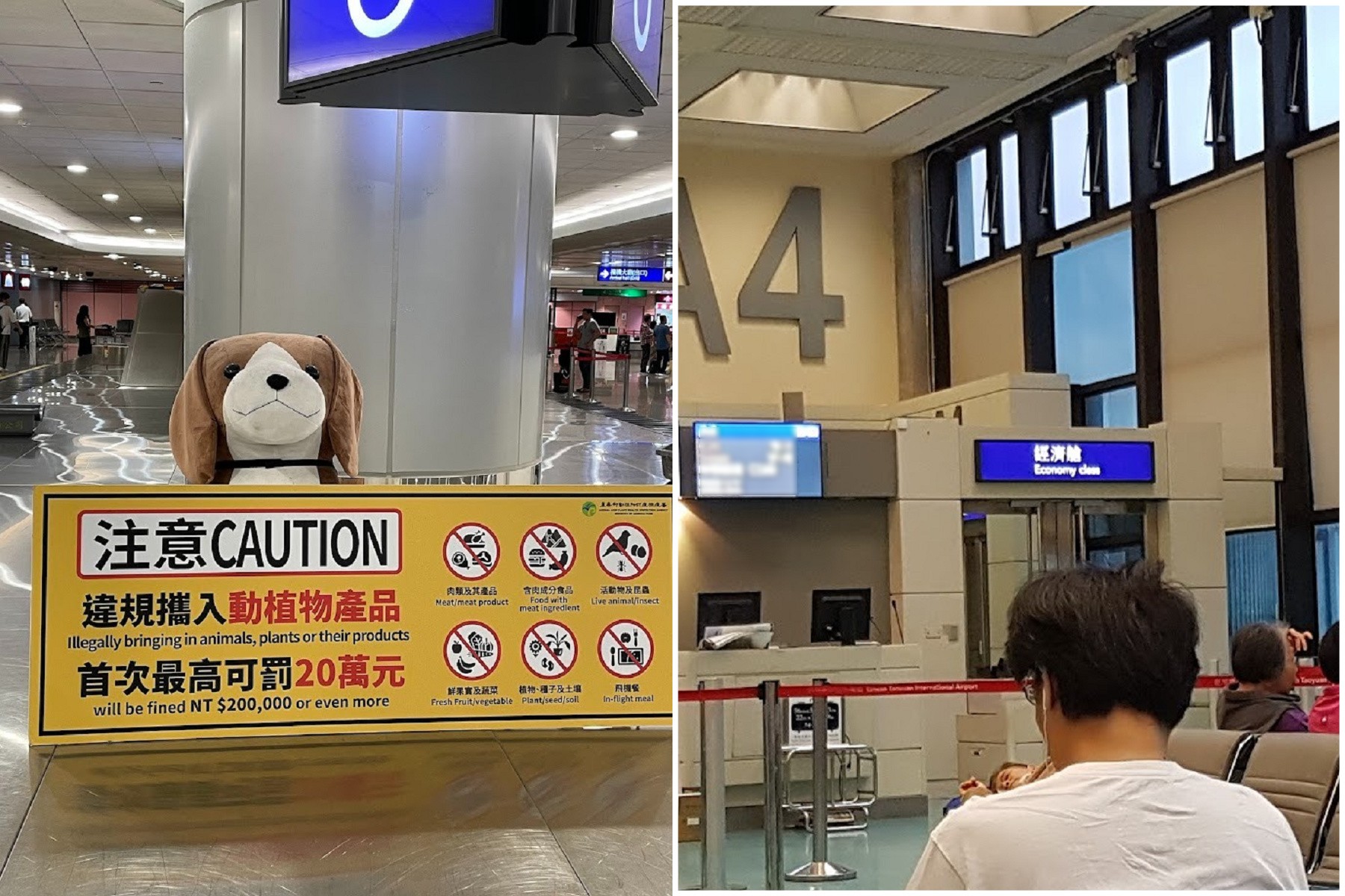 全球機票降價中！有5國經濟艙跌幅最大。