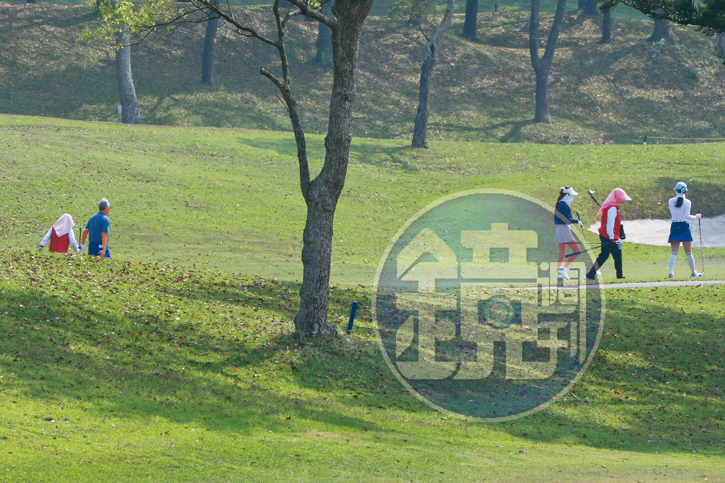 郭台銘與藍衣熟女彷彿夫妻一般經常作伴打球，兩人間的八卦也逐漸傳開。