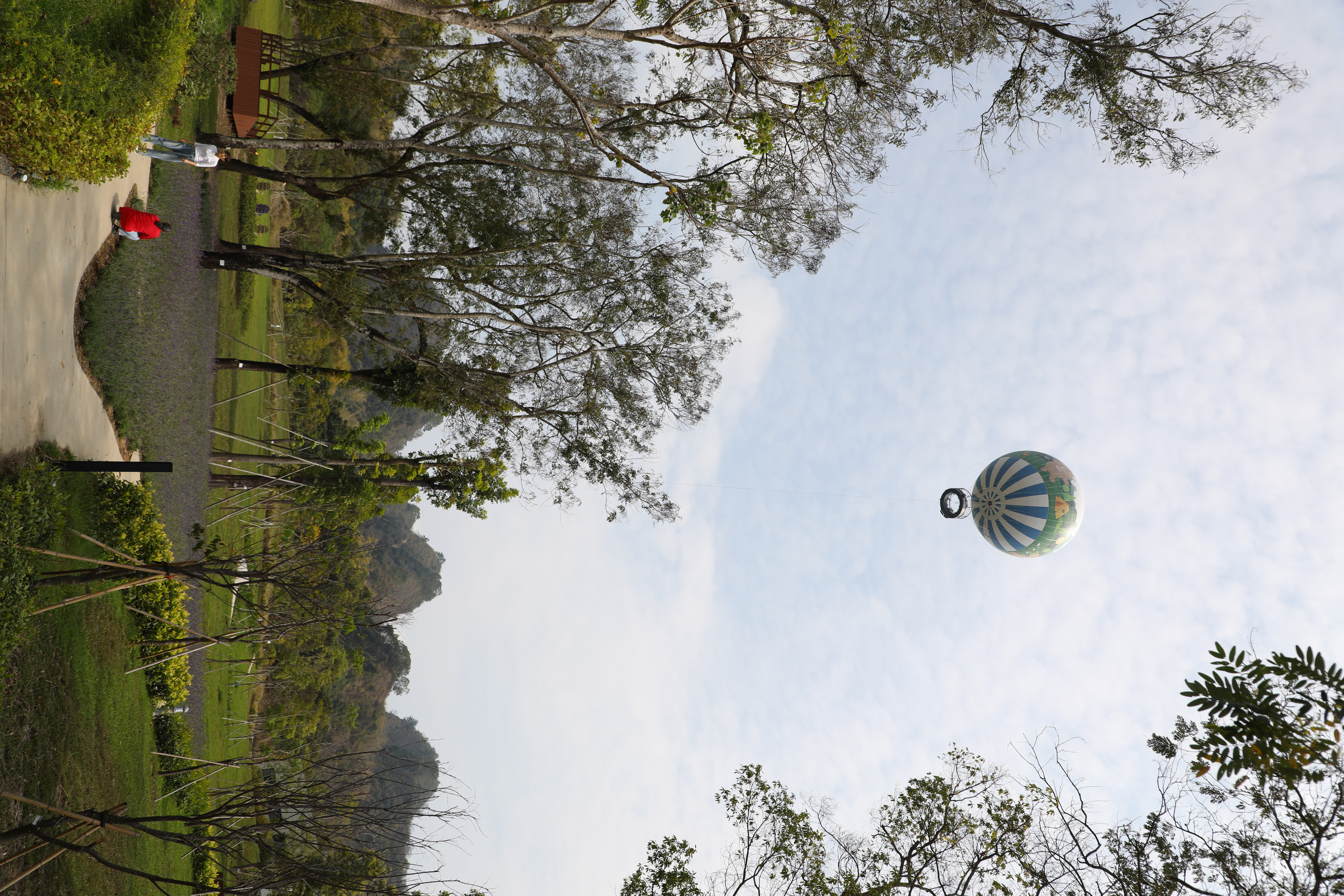 氦氣球能上升至168公尺處，同時也是目前全球現役營運中升空高度最高的氦氣球。