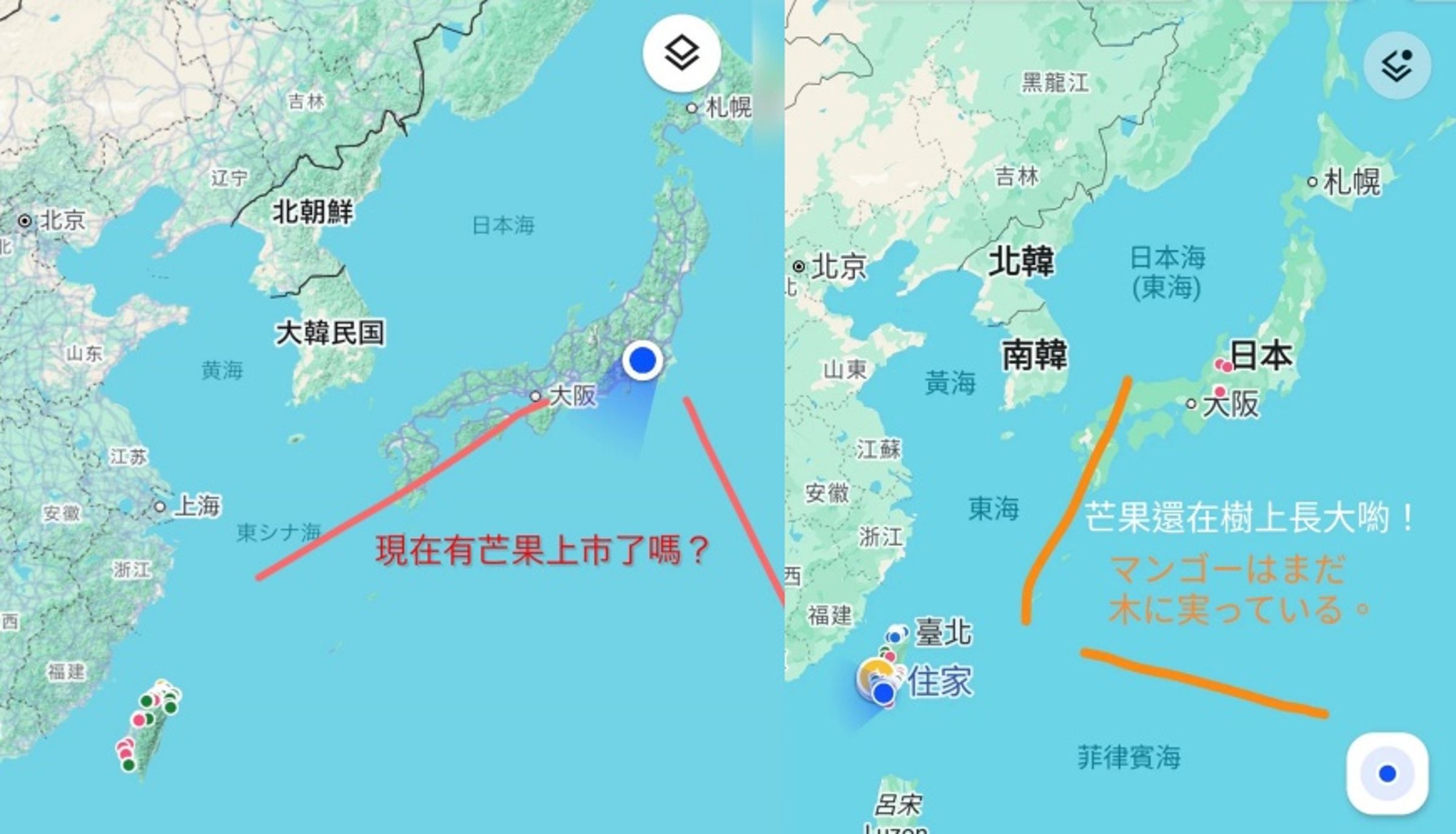 一名日本網友在Threads貼出地圖定位截圖,隔空向台灣人詢問芒果收成狀況,趣味互動引發社群瘋傳。(翻攝自Threads)