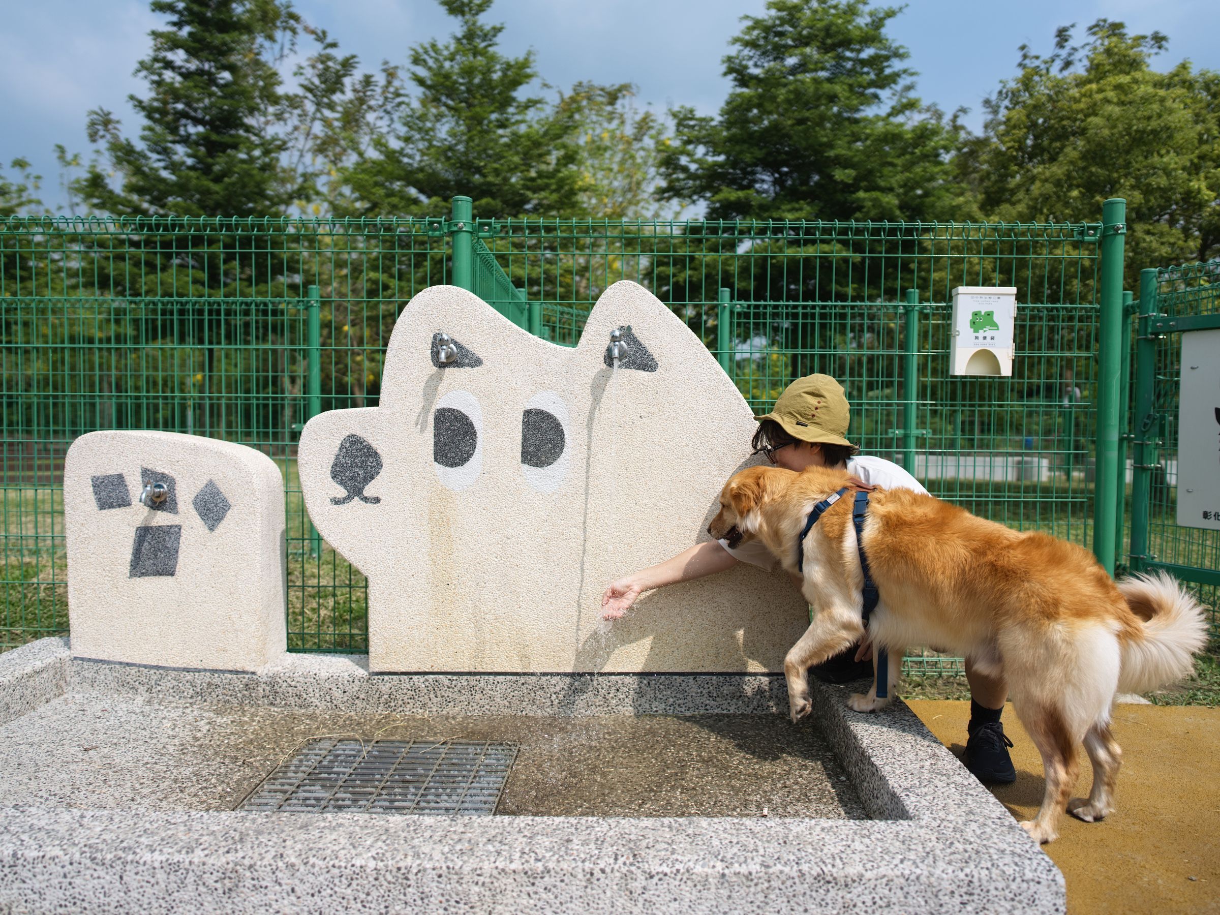 縣府打造寵物友善空間,讓毛孩與飼主自在共享美好時光。(攝影/陳巧羚)