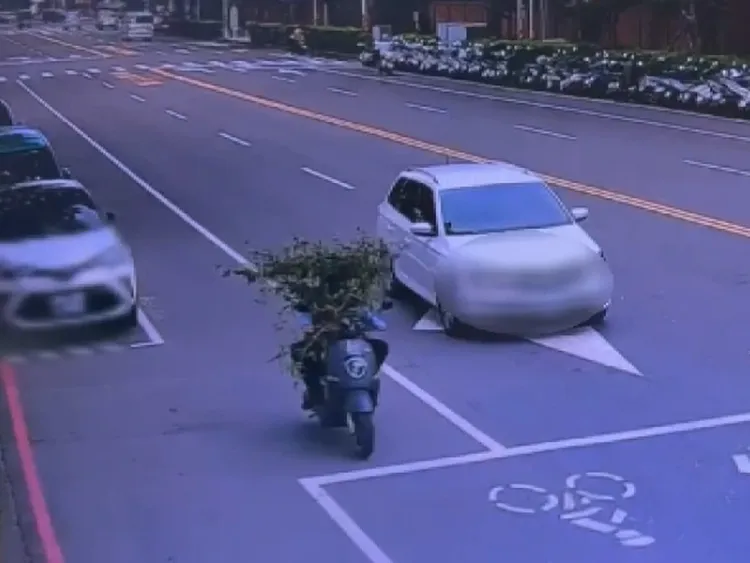 女騎士的盆栽植栽過於茂密,視線幾乎被完全遮蔽,警方表示將依法開罰。(翻攝畫面)