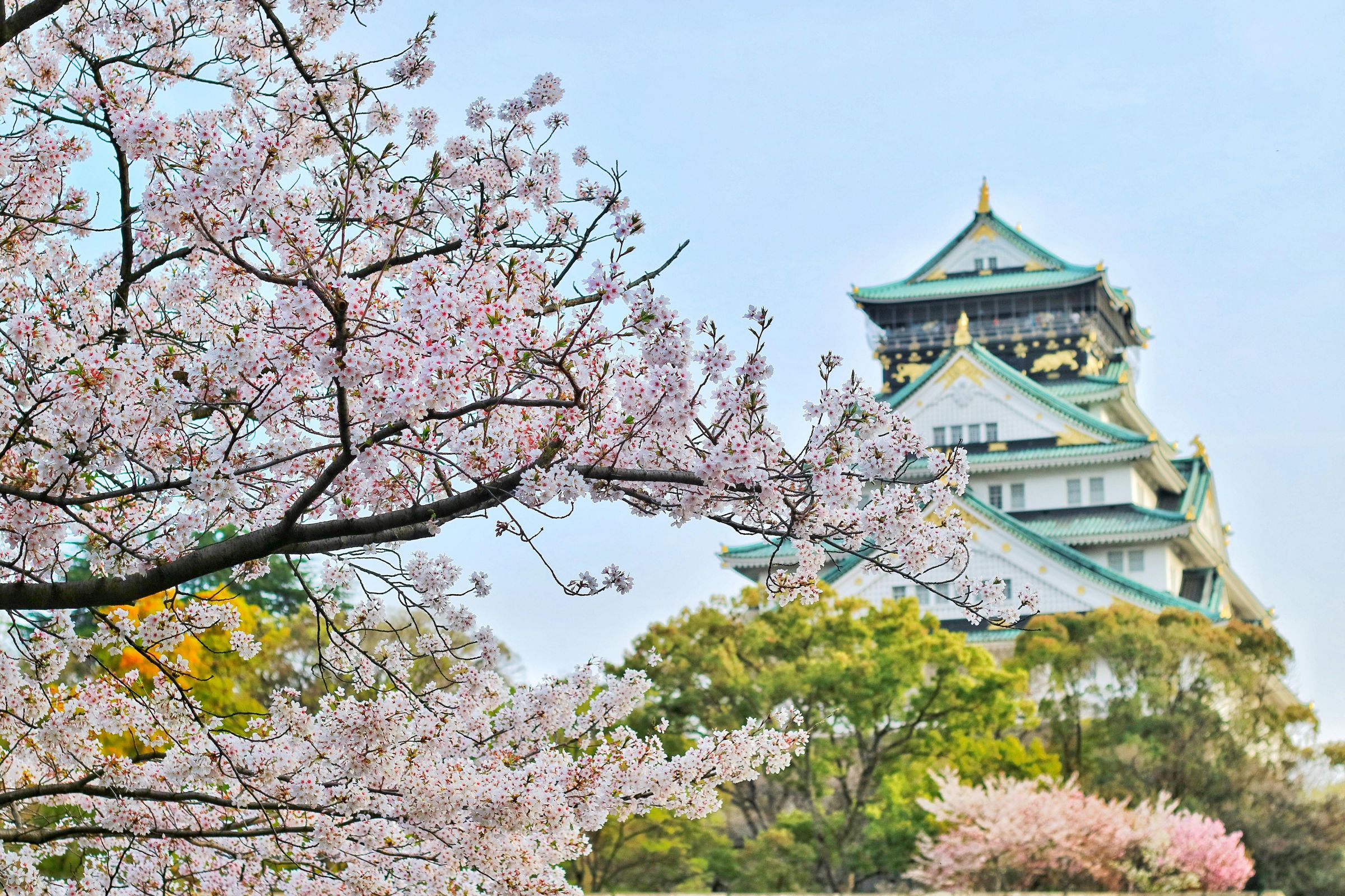 不少網友推薦赴日旅遊可以投保「日本旅遊保險」。(pexels提供)